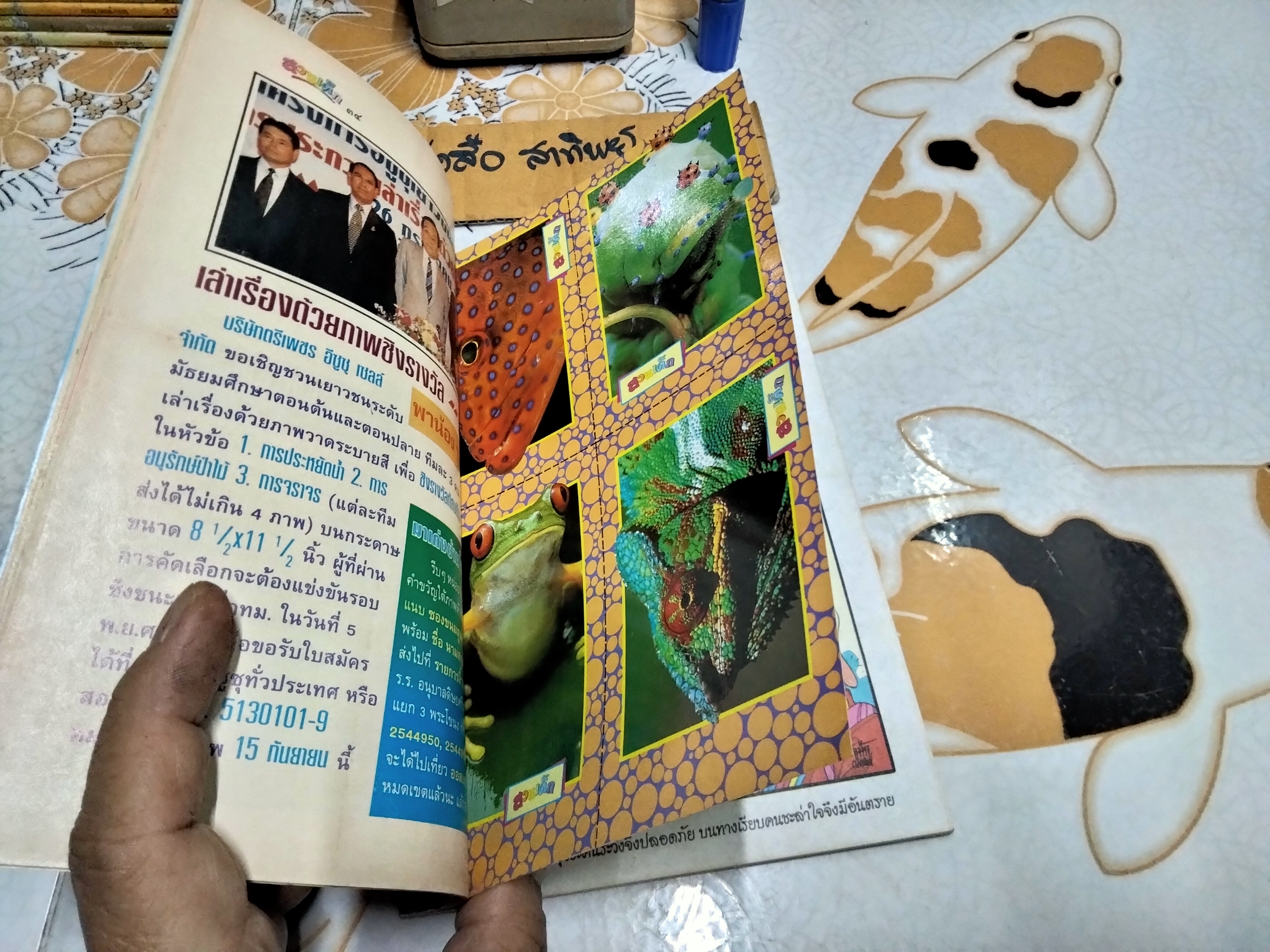 "สวนเด็ก" ปีที่ 6 ฉบับที่ 113 ปักษ์แรก เดือนกันยายน 2537 ปก แร็พเตอร์ จอนนี่ อันวา - หลุยส์ สก๊อต