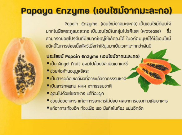 21st Century® Papaya Enzyme 100 ChewableTablets เอนไซม์จากมะละกอ & สับปะรด