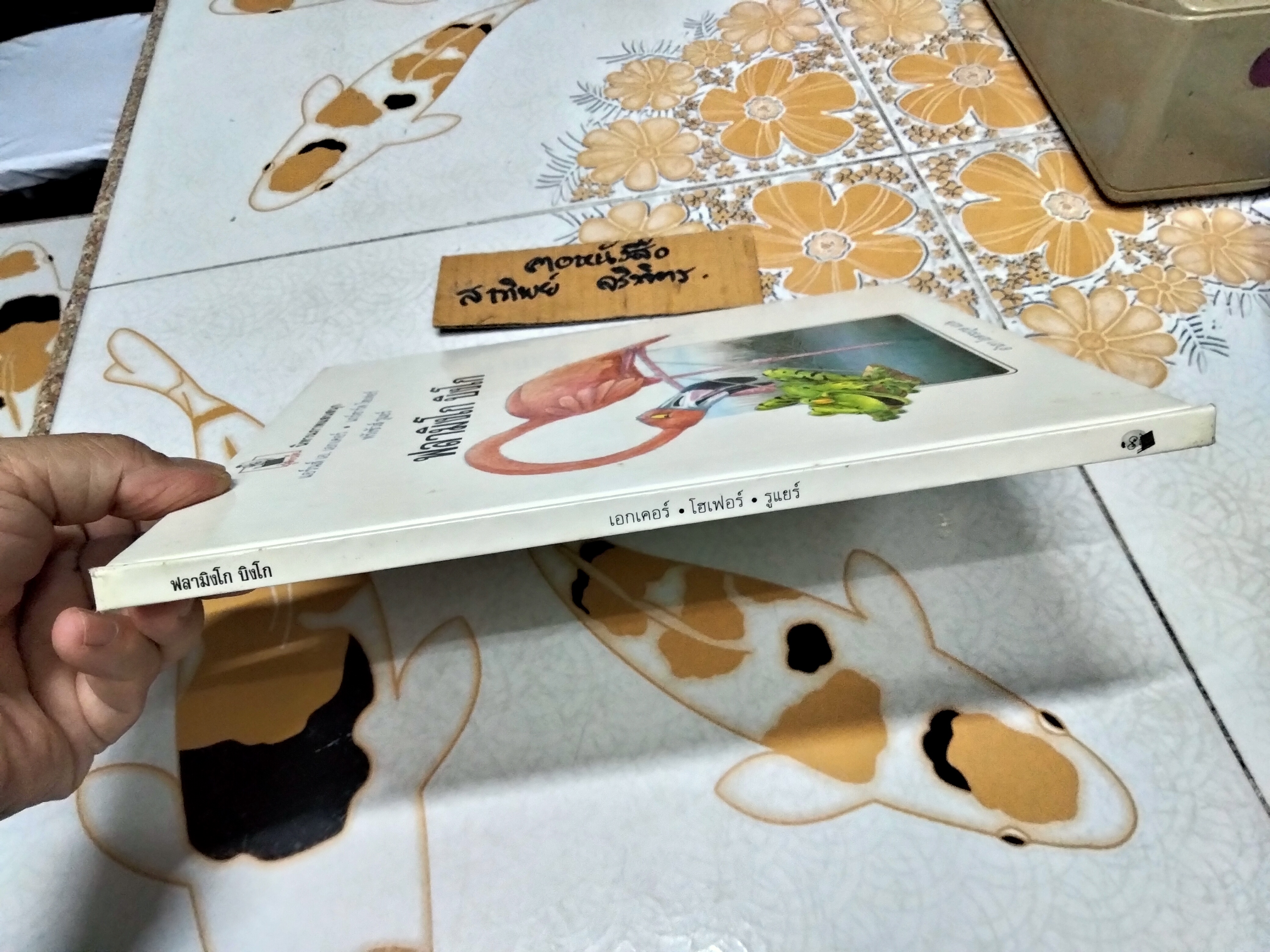 ฟลามิงโก บิงโก - แอร์นส์ เอ. เอกเคอร์ และแกร์ฮาร์ด โฮเฟอร์ - เรื่อง , ฟรังซัวส์ รูแยร์ : ภาพ , อำภา โอตระกูล : แปล **สินค้าหมด**