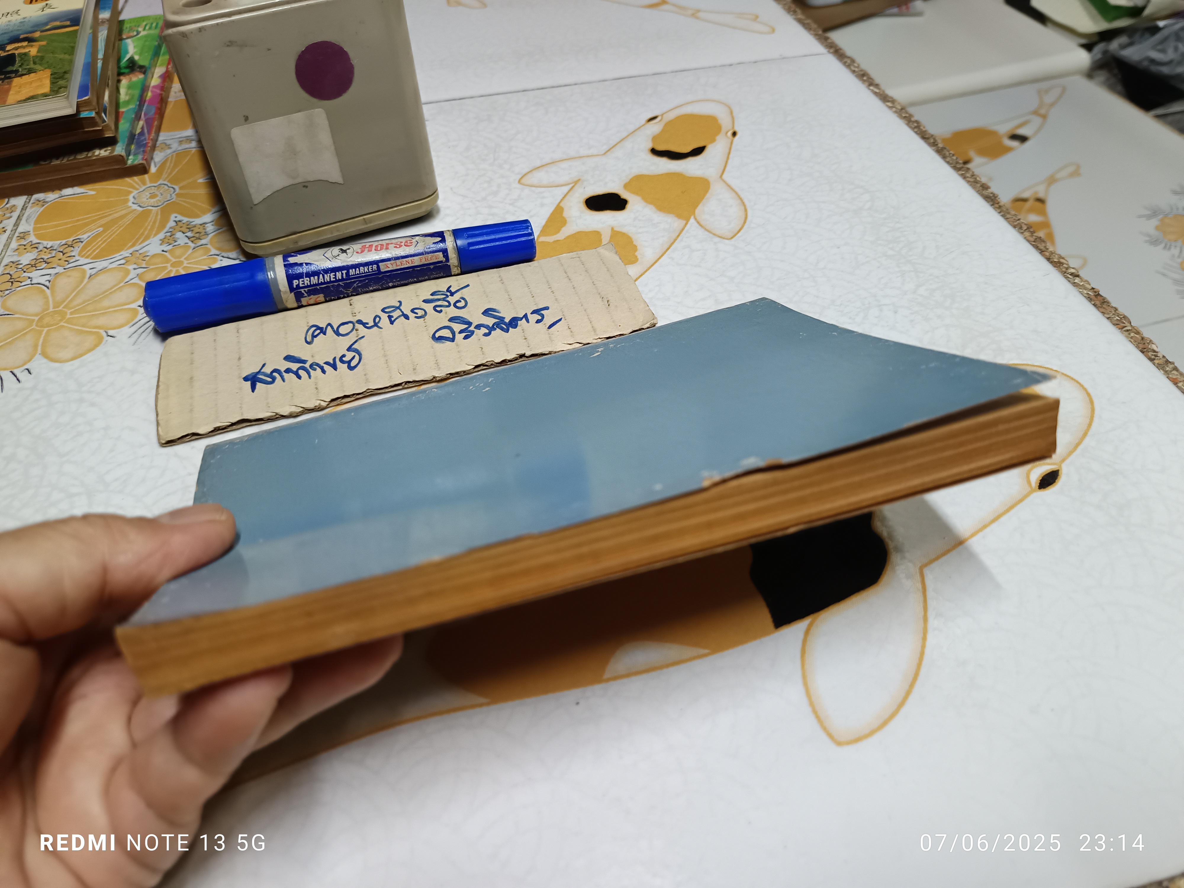 อันชนกชนนีนี้รักเจ้า (For the Love of Ann) ผู้เขียน: James Copeland (เจมส์ โคปแลนด์) ผู้แปล: อาจารย์หม่อมดุษฎี บริพัตร ณ อยุธยา