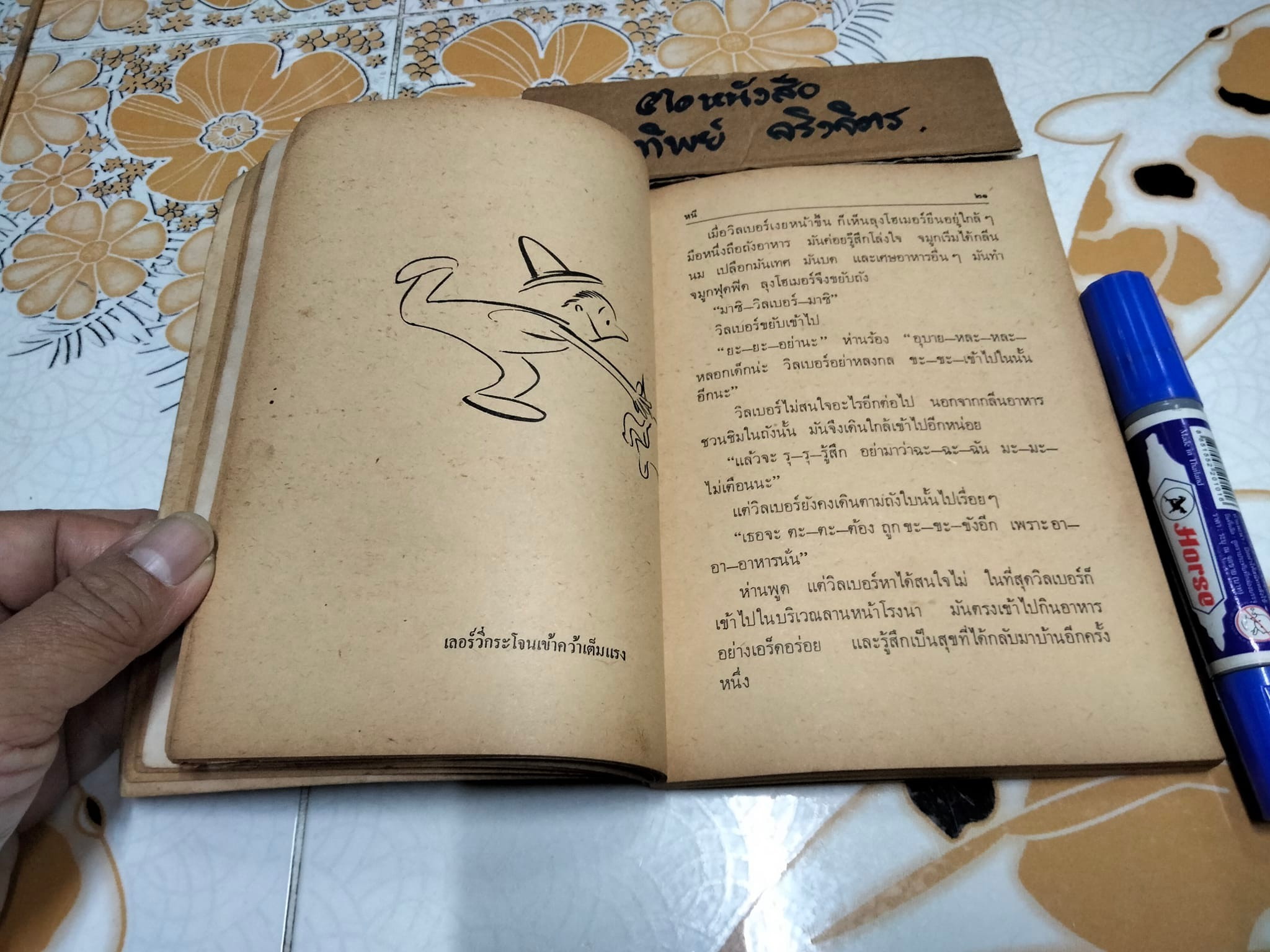 แมงมุมเพื่อนรัก แปลจาก Charlotte's Web ของ E.B. White (อี. บี. ไวท์) โดย มัลลิกา **สินค้าหมด**