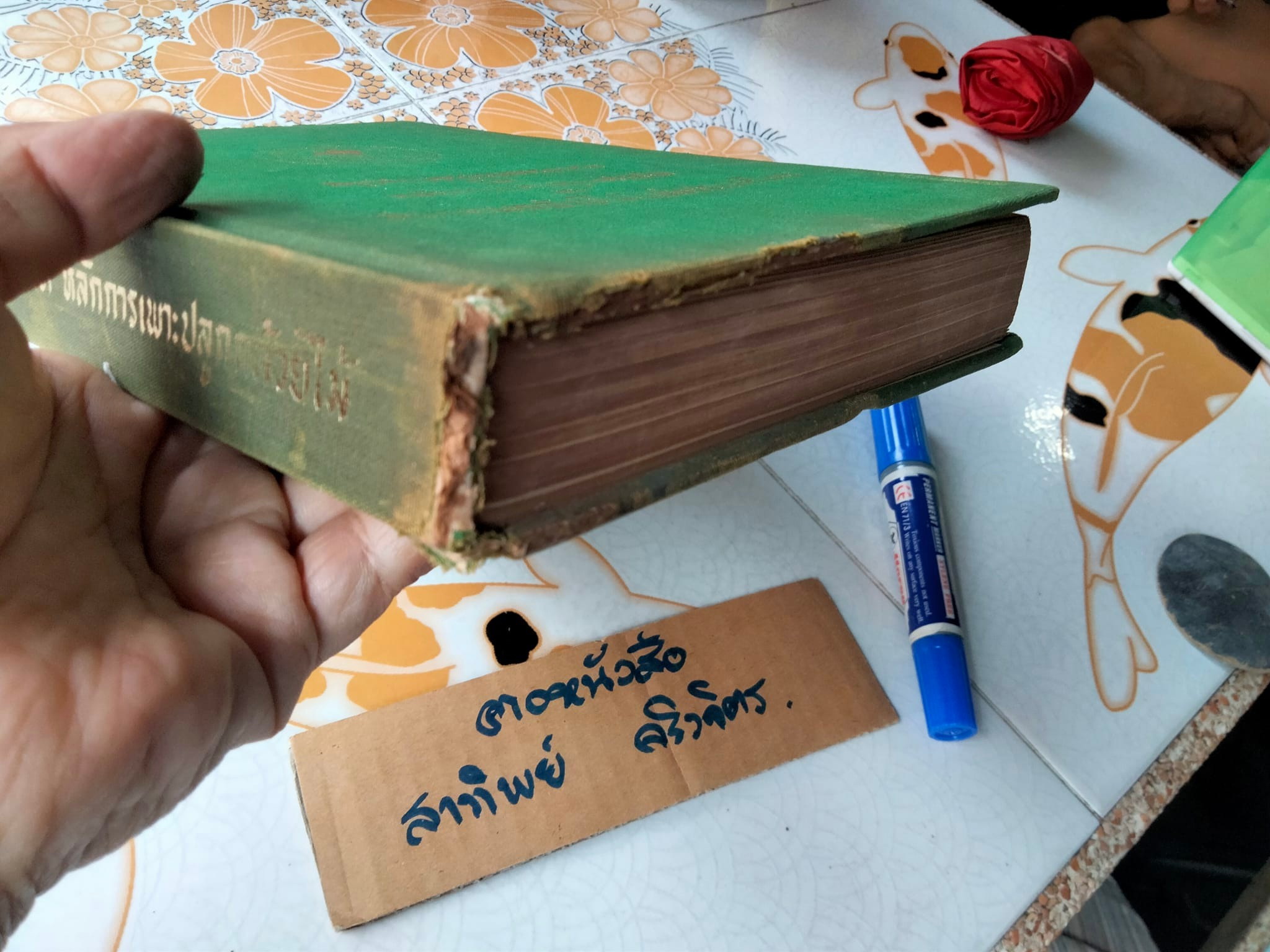 สรุปคำบรรยายการอบรมวิชา หลักการเพาะปลูกกล้วยไม้ ของ สมาคมกล้วยไม้แห่งประเทศไทย