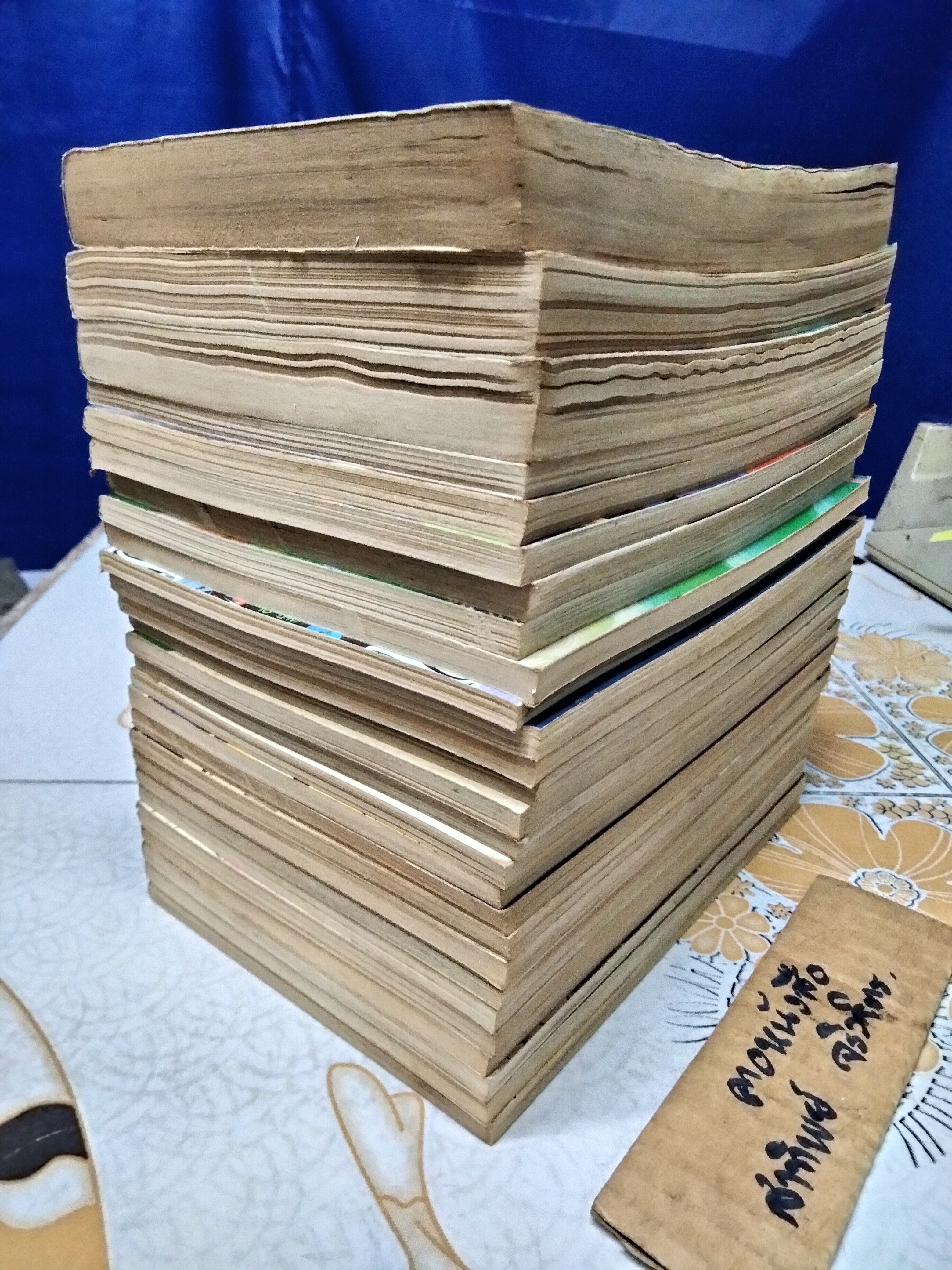 สองสิงห์เจ้าสำอางค์ - วิบูลย์กิจ (ขายรวม 27 เล่ม ขาดเล่ม 16,18 - ครบชุดคือ 29 เล่มจบ)