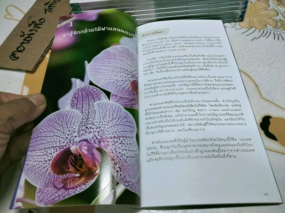 มือใหม่หัดปลูกฟาแลนนอปซิส (Easy Phalaenopsis) โดย ภวพล ศุภนันทนานนท์ , มือหนึ่ง ในซีล