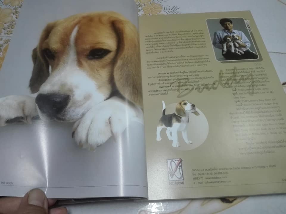 DOGS IN THE BOOK - 32 หมา...ที่คนอยากอวด