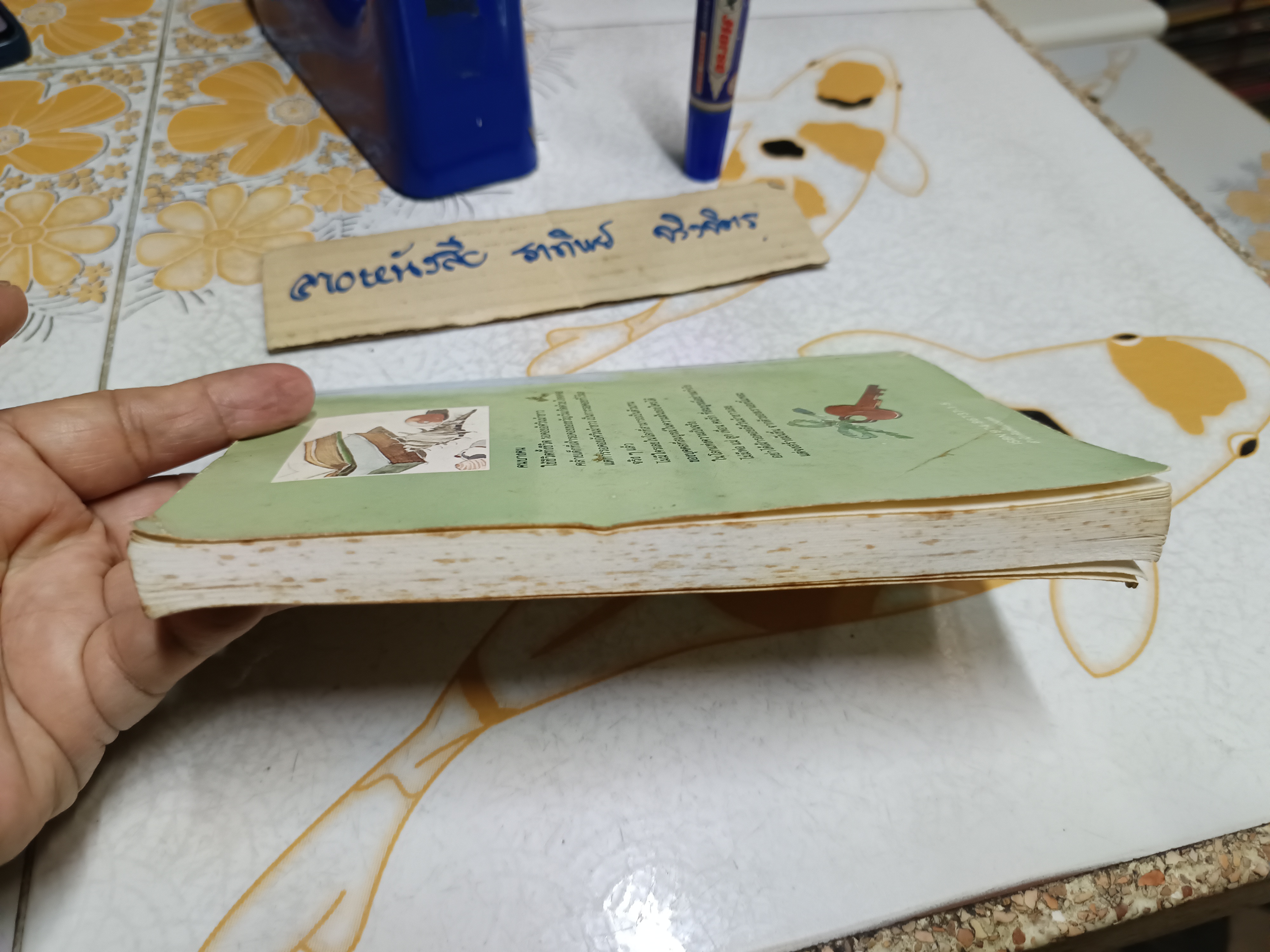 ค้นหาตัวเอง นวลศิริ เปาโรหิตย์ เขียน ภาพโดย อดิพร โอภาศชาติ พิมพ์ปีพ.ศ 2531