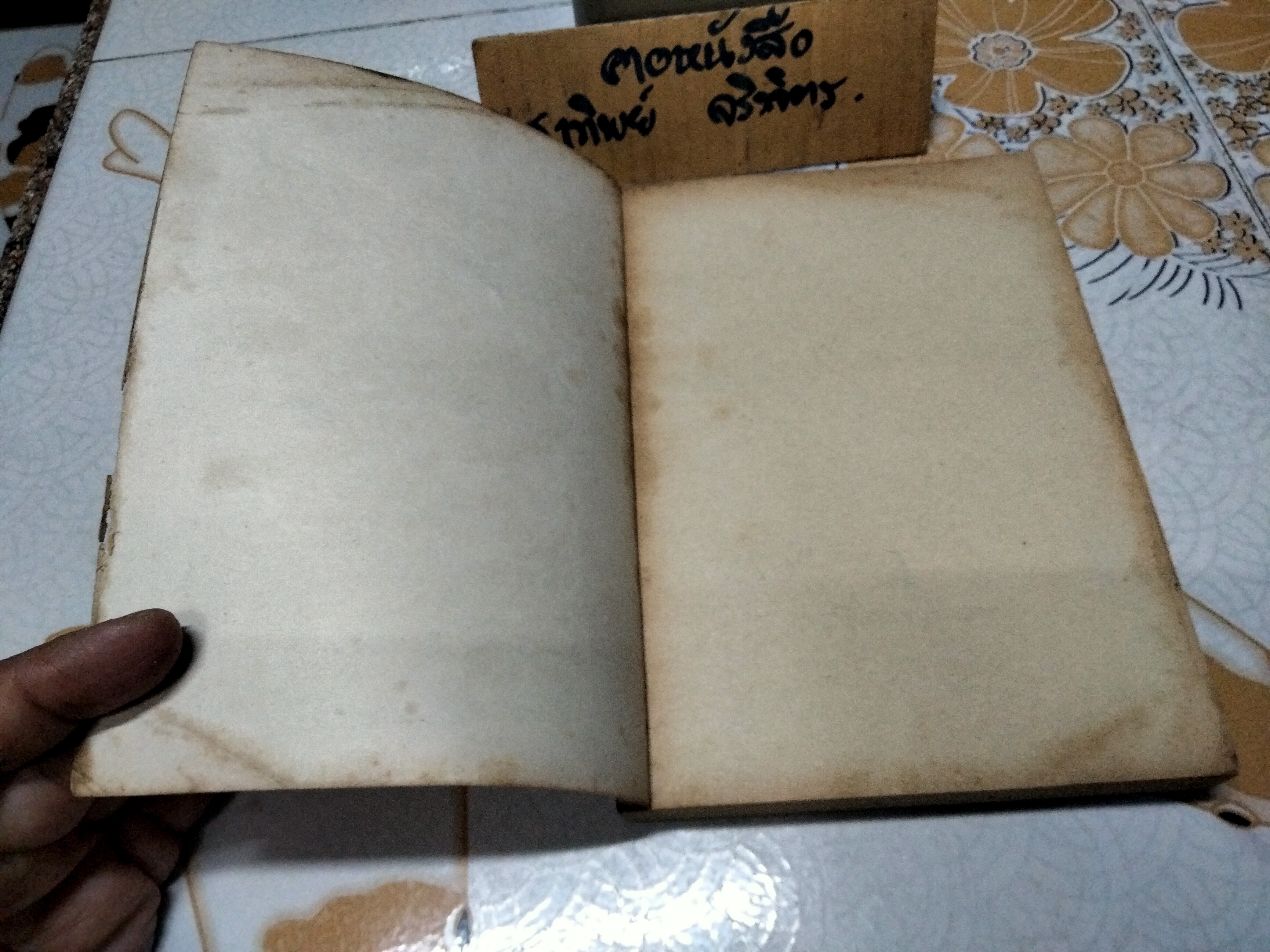 เมียจอมยุ่ง Don't catch me ผลงานของ Richard Powell แปลโดย ทิพย์ชาติ **สินค้าหมด**