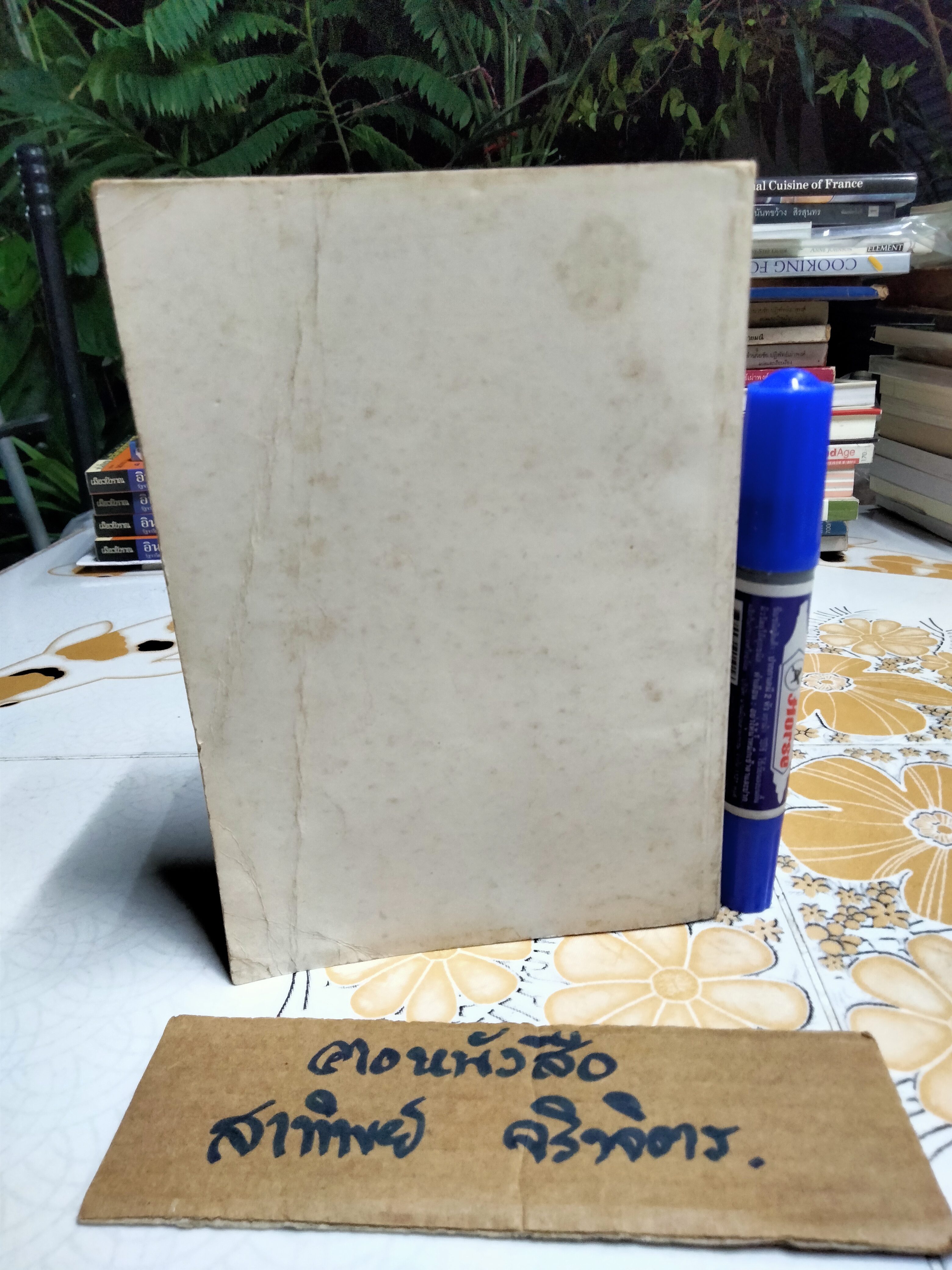 แววตะวันวาดฟ้า - ชลันธร พิมพ์ครั้งที่ 3/2525 **สินค้าหมด**