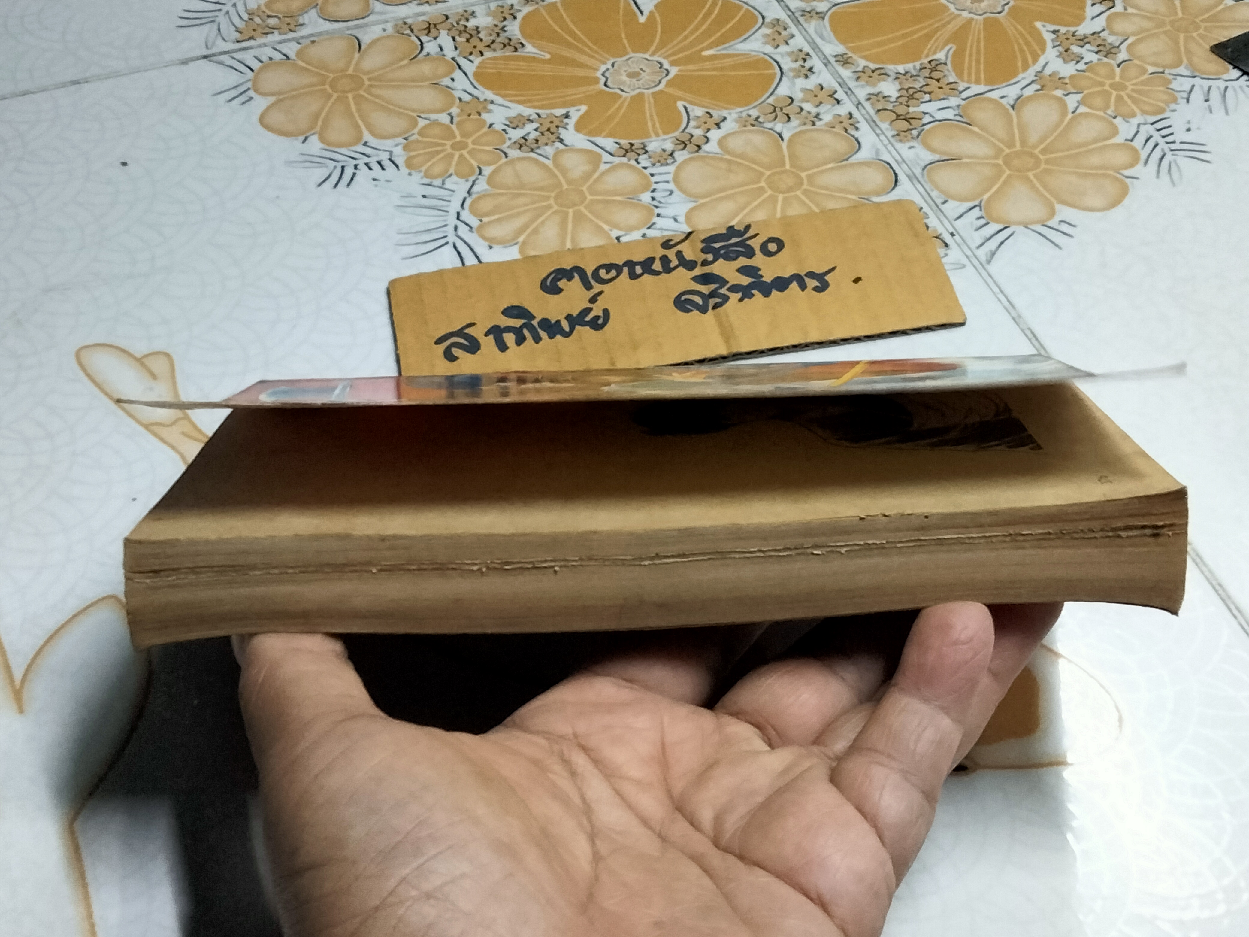 คุจากุ เทพสยบมาร ตอน ซินเดอเรลล่าสยอง ( เล่มเดียวจบ )