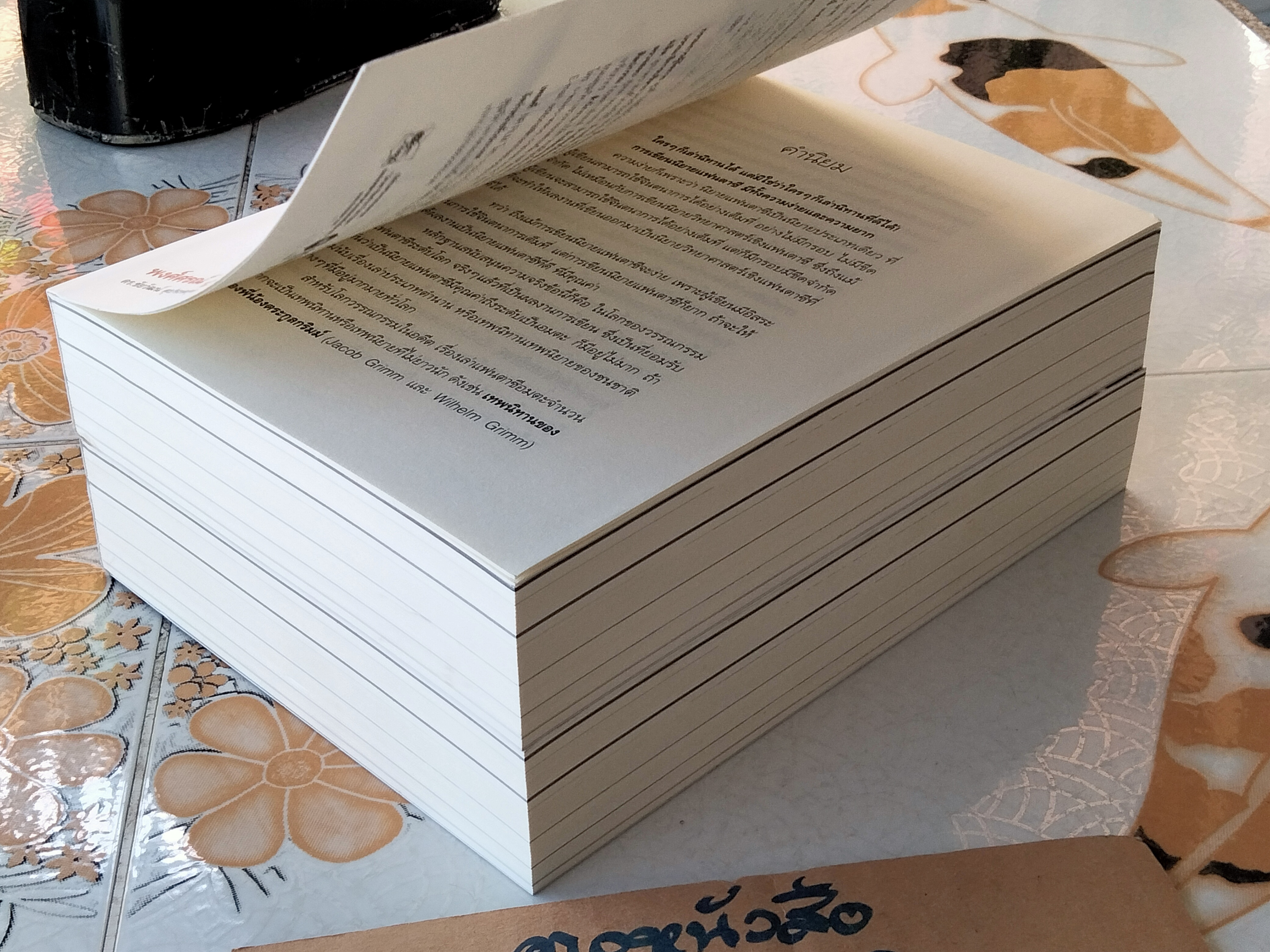 ลำนำหกพิภพ โดย พงศ์ศรณ์ ภูมิวัฒน์ (พิมพ์ครั้งแรก 2551) **สินค้าหมด**