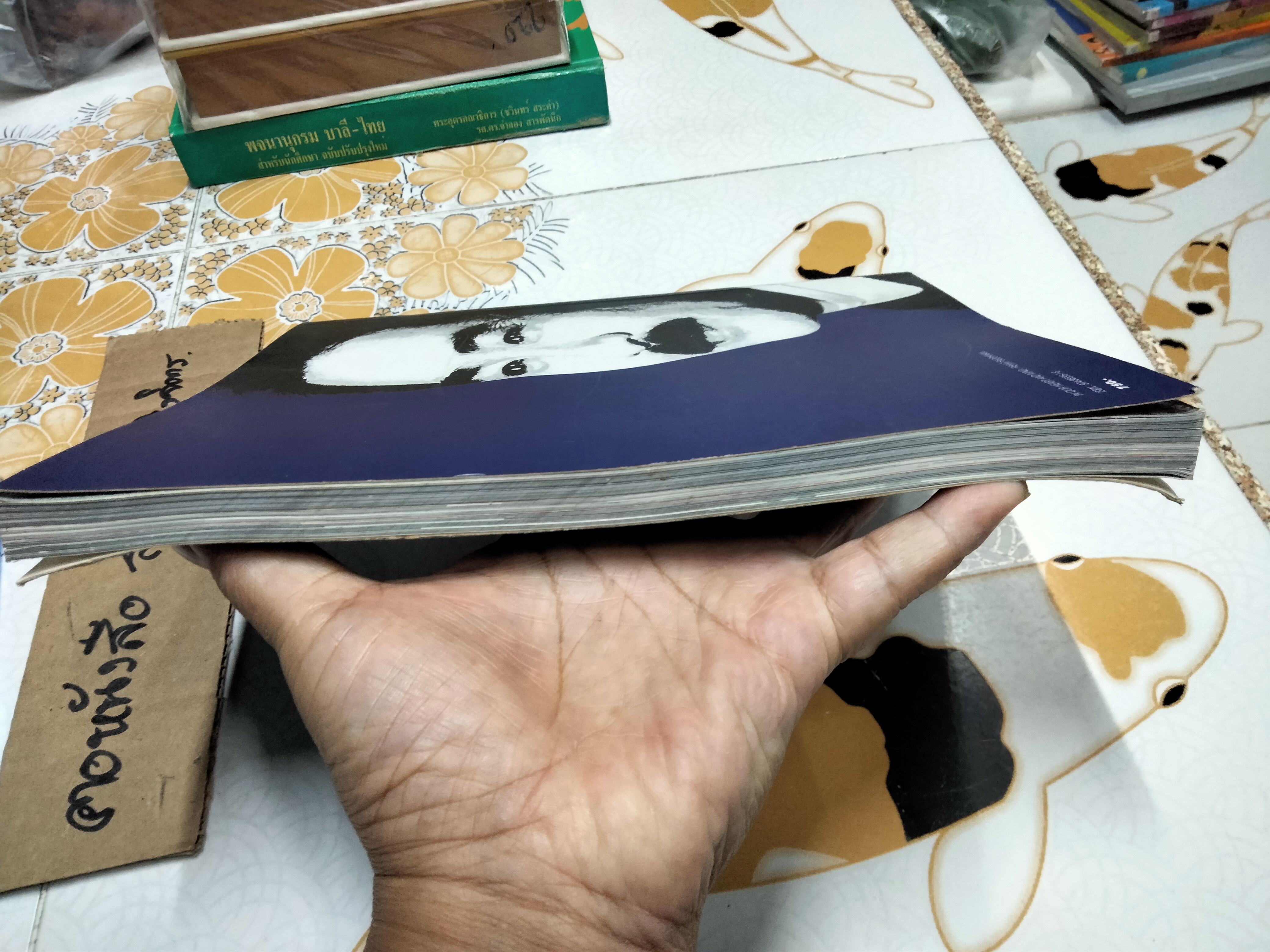 หนังสือ In Our Heart and Mind REWAT BUDDHINAN Photographic Journey of the Concert 98 BY IMAGE PUBLISHING