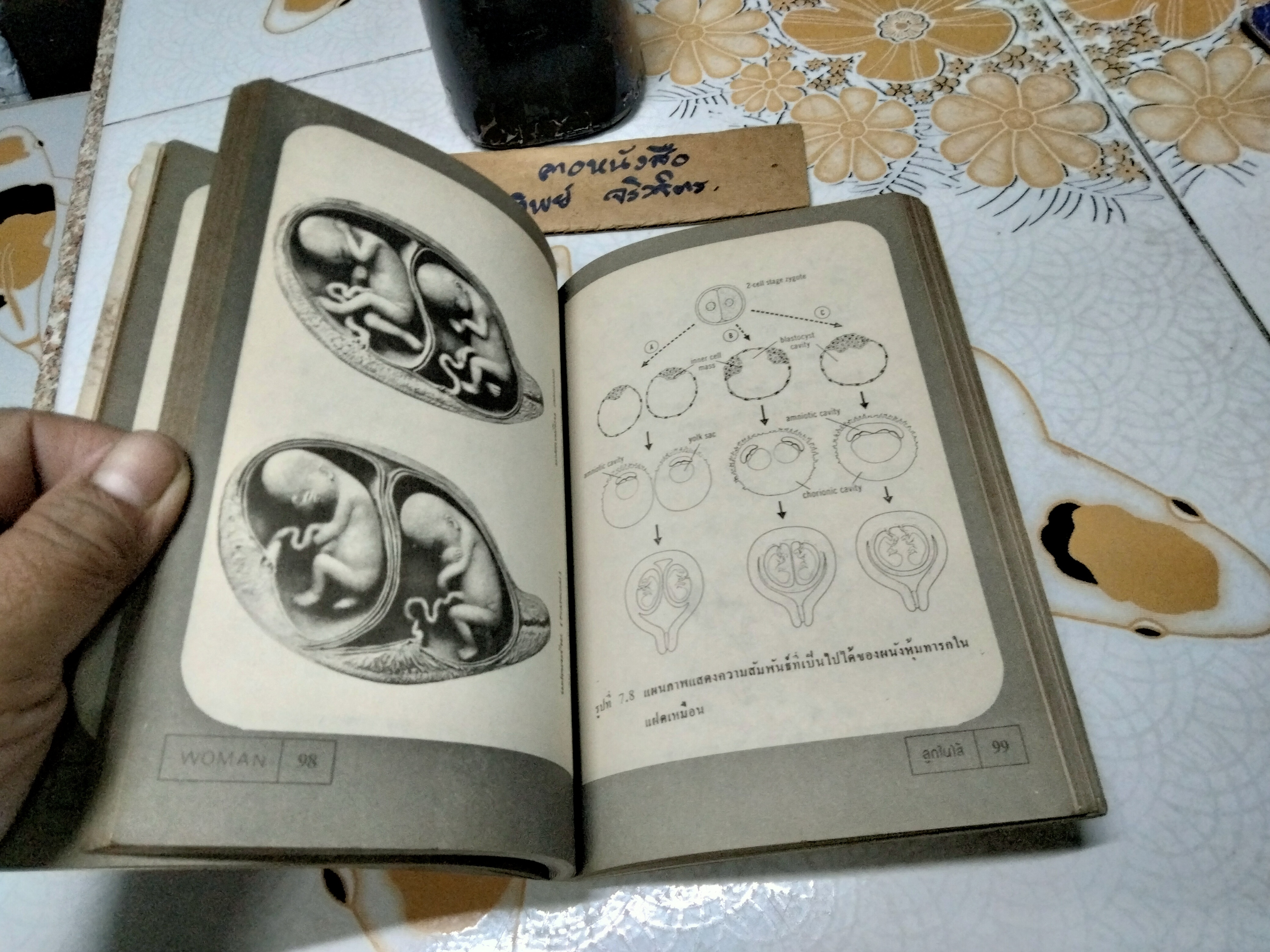 WOMAN หนังสือในโครงการวิทยาศาสตร์สำหรับชาวบ้าน ลำดับที่ 7 จัดทำโดย บรรณาธิการวารสารวิทยาศาสตร์ คณะวิทยาศาสตร์ จุฬาลงกรณ์มหาวิทยาลัย พิมพ์ปี พ.ศ.2521