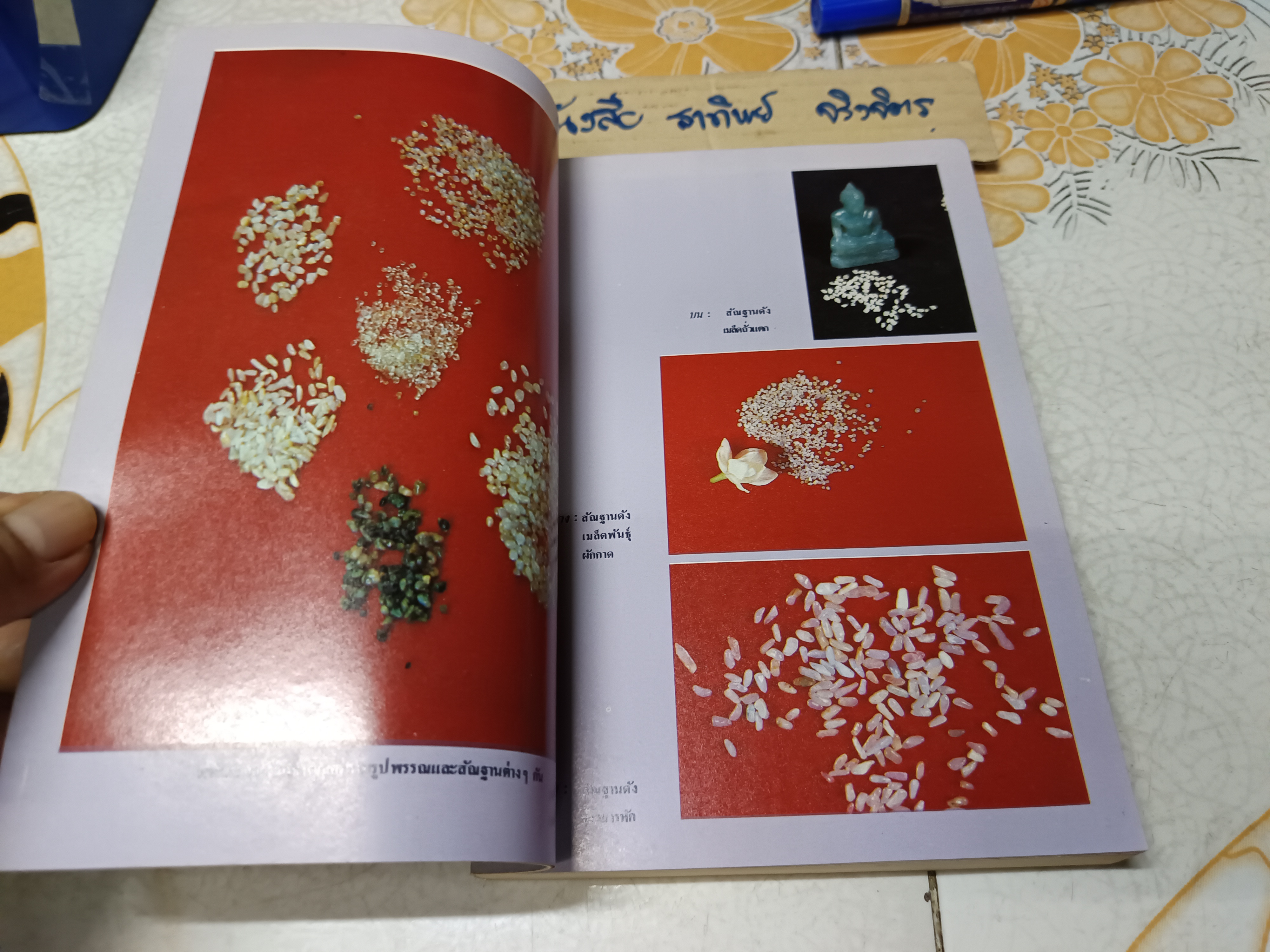 อนุสรณ์นางชาญสงคราม (แฉล้ม ชาลีจันทร์) มาตาบูชา พระบรมสารีริกธาตุ และ พระอรหันตธาตุ ผลงานของ คุณหญิงสุรีพันธุ์ มณีวัต