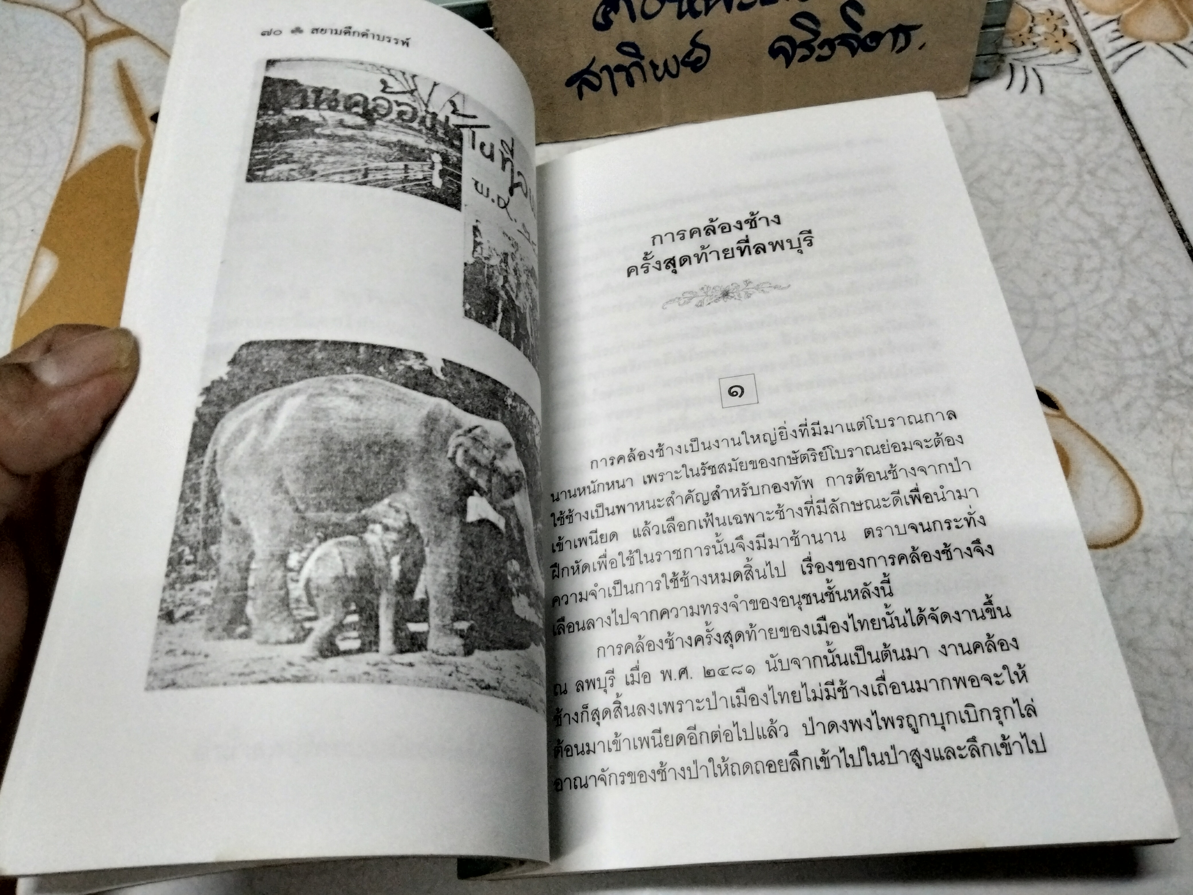 สยามดึกดำบรรพ์ โดย ชาลี เอี่ยมกระสินธุ์ พิมพ์ปี พ.ศ.2539