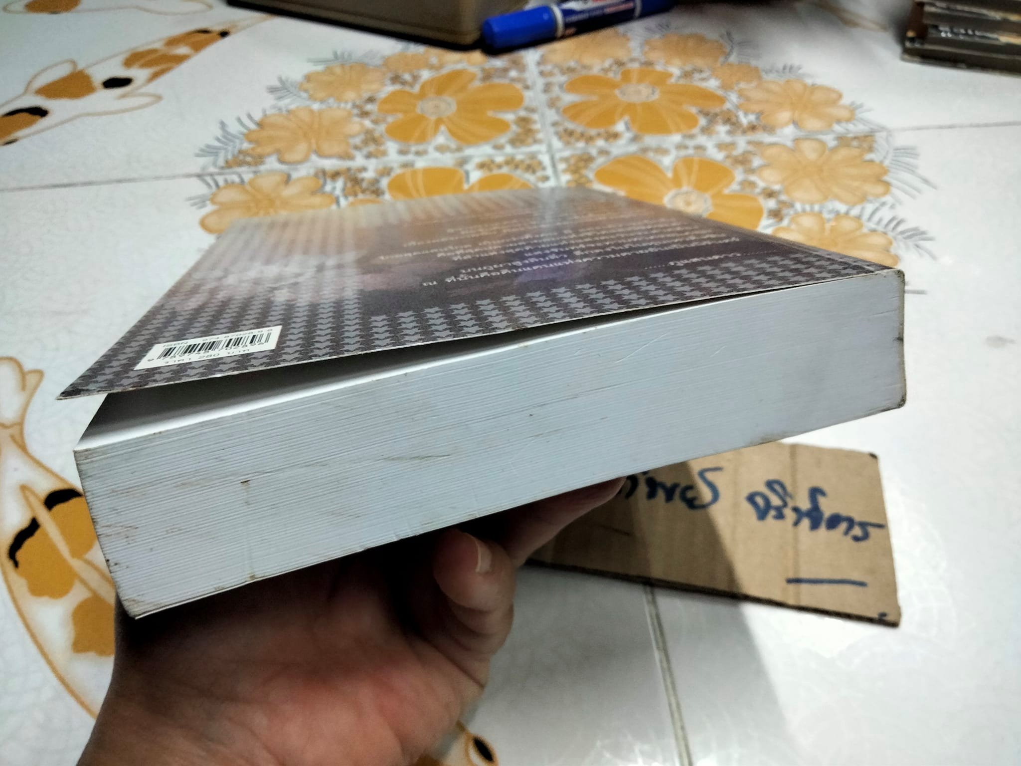 ภูแสนดาว โดย ดวงตะวัน พิมพ์ครั้งที่ 2/2546 สนพ.เพื่อนดี