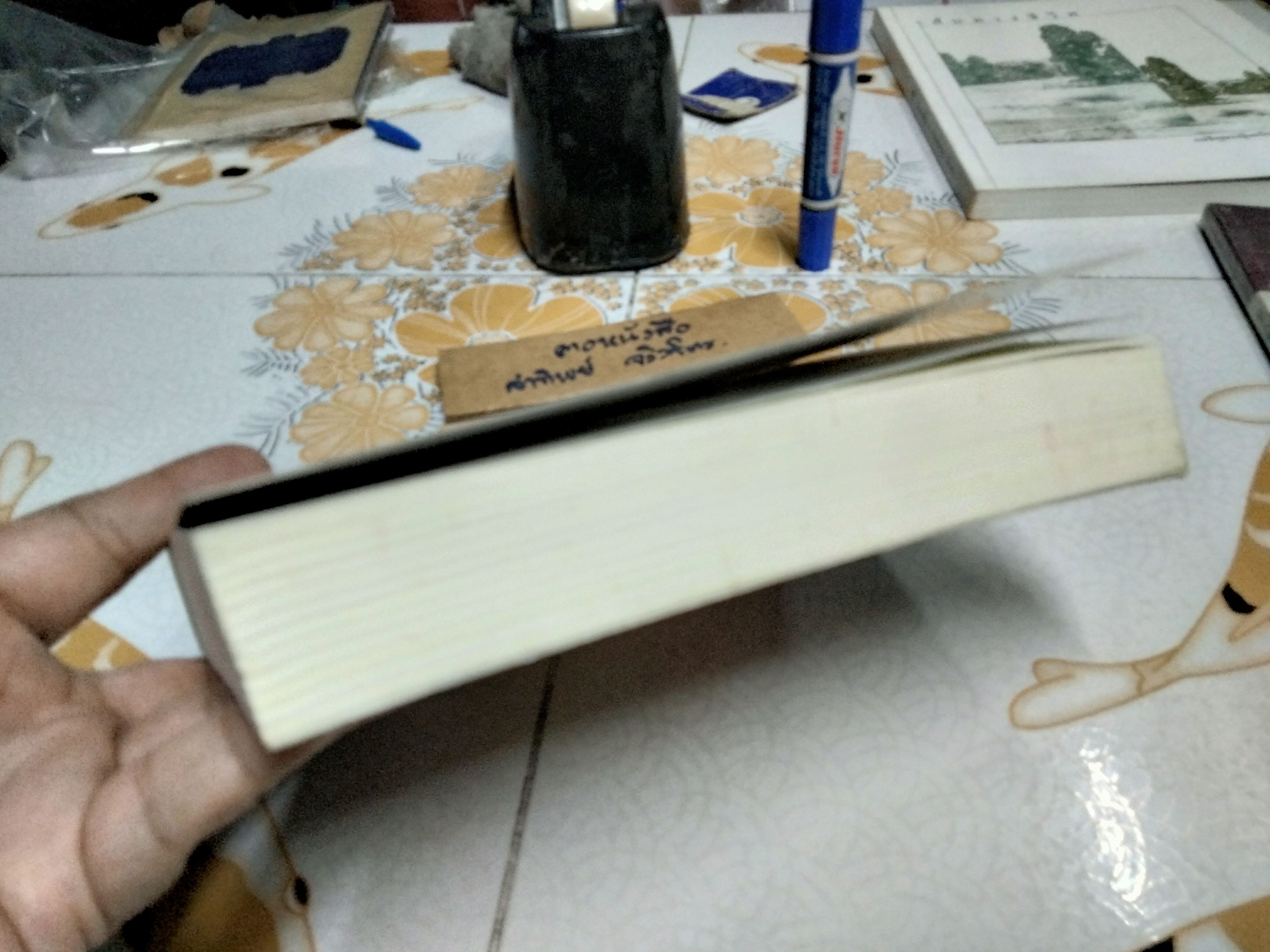 คู่พยัคฆ์ล่าทรชน (ASSAULT TIGER) โดย พันทิวา - เป็นตอนที่สองในซีรี่ส์ชุดธงอินทร์และคมจักร ภาคต่อจาก “คู่พยัคฆ์หัวใจมหากาฬ”