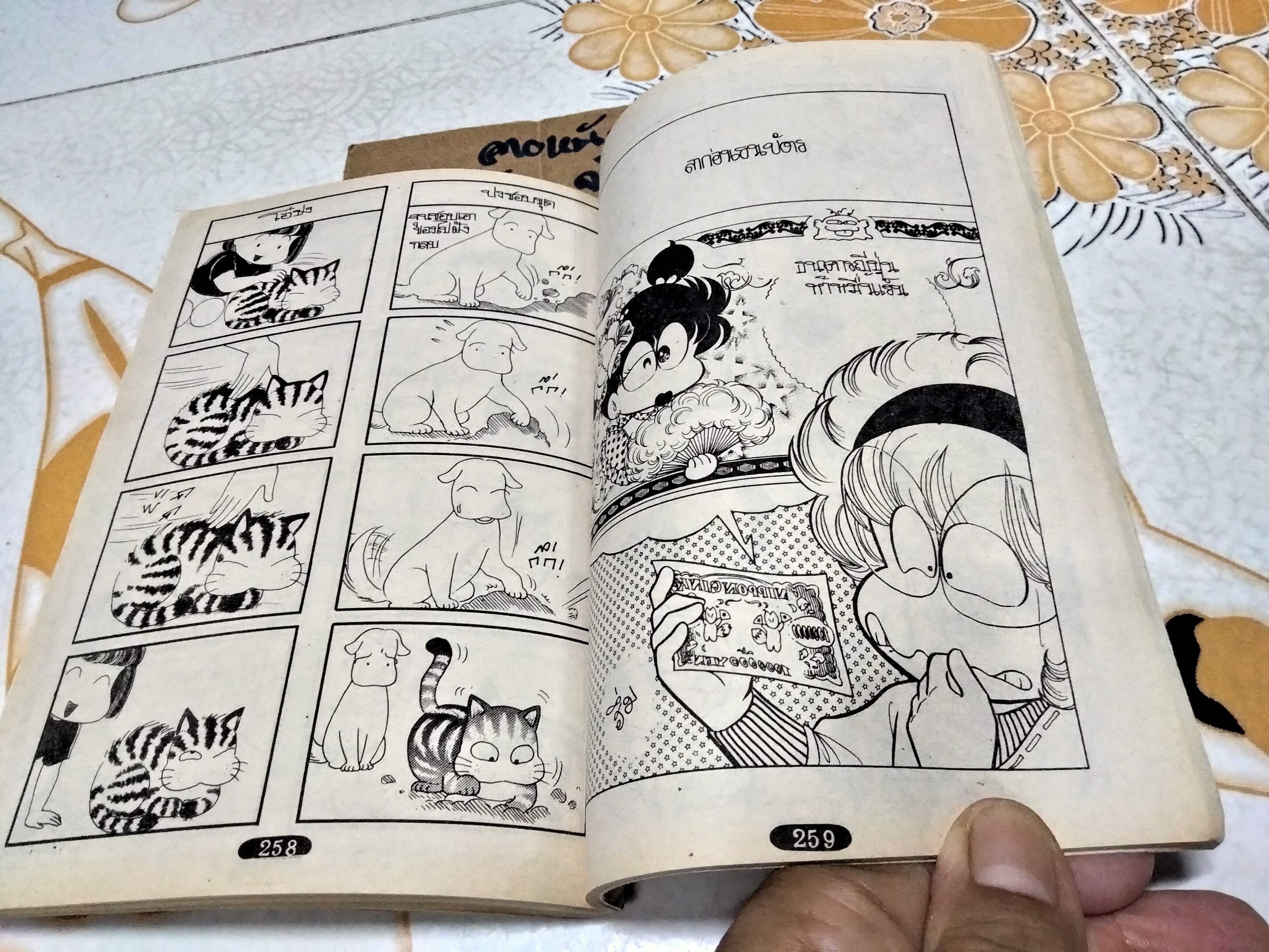 แมวเหมียวจอมจุ้น ปงจิ (จบในตอน)