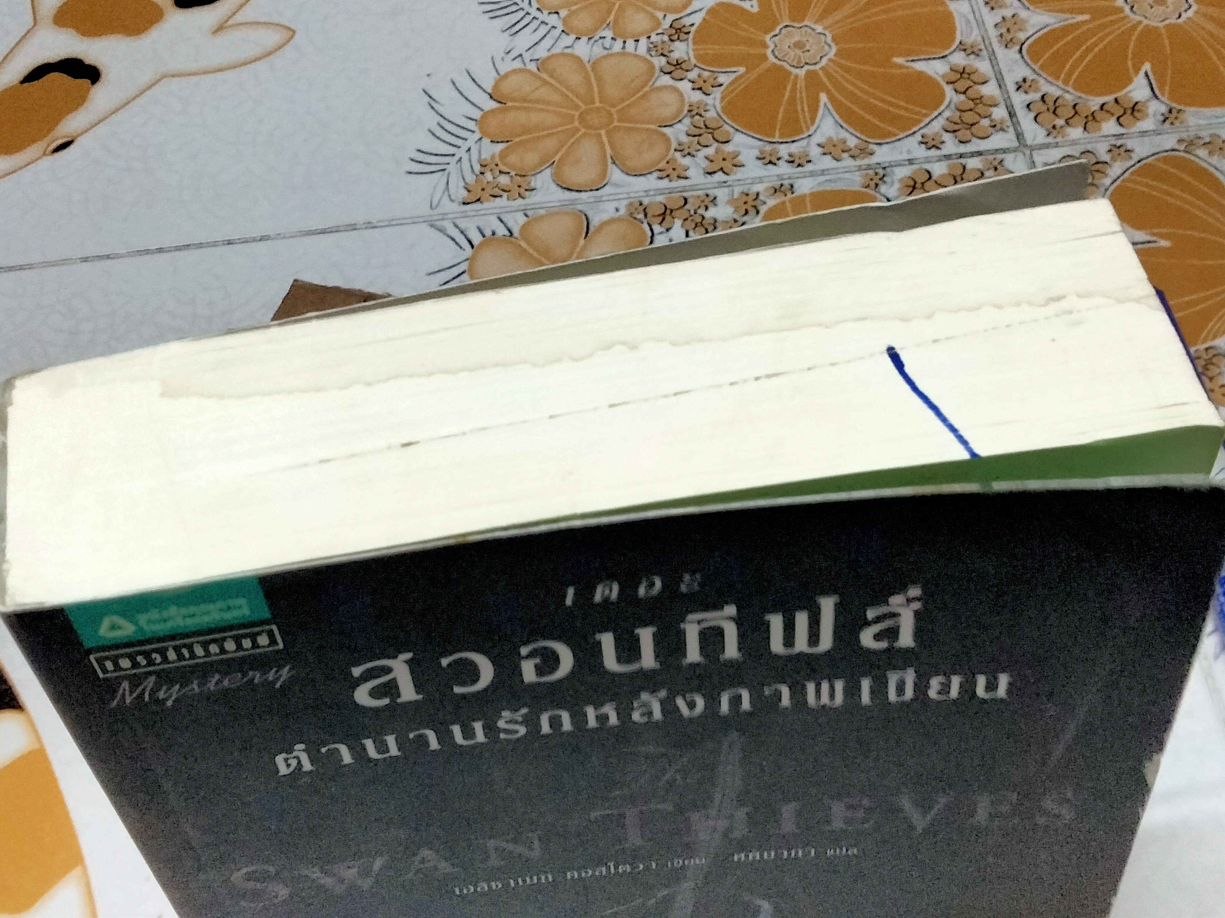 เดอะสวอนทีฟส์ ตำนานรักหลังภาพเขียน (Swan Thieves) - เอลิซาเบท คอสโตวา เขียน / ศศมาภา แปล (มีคราบน้ำ)