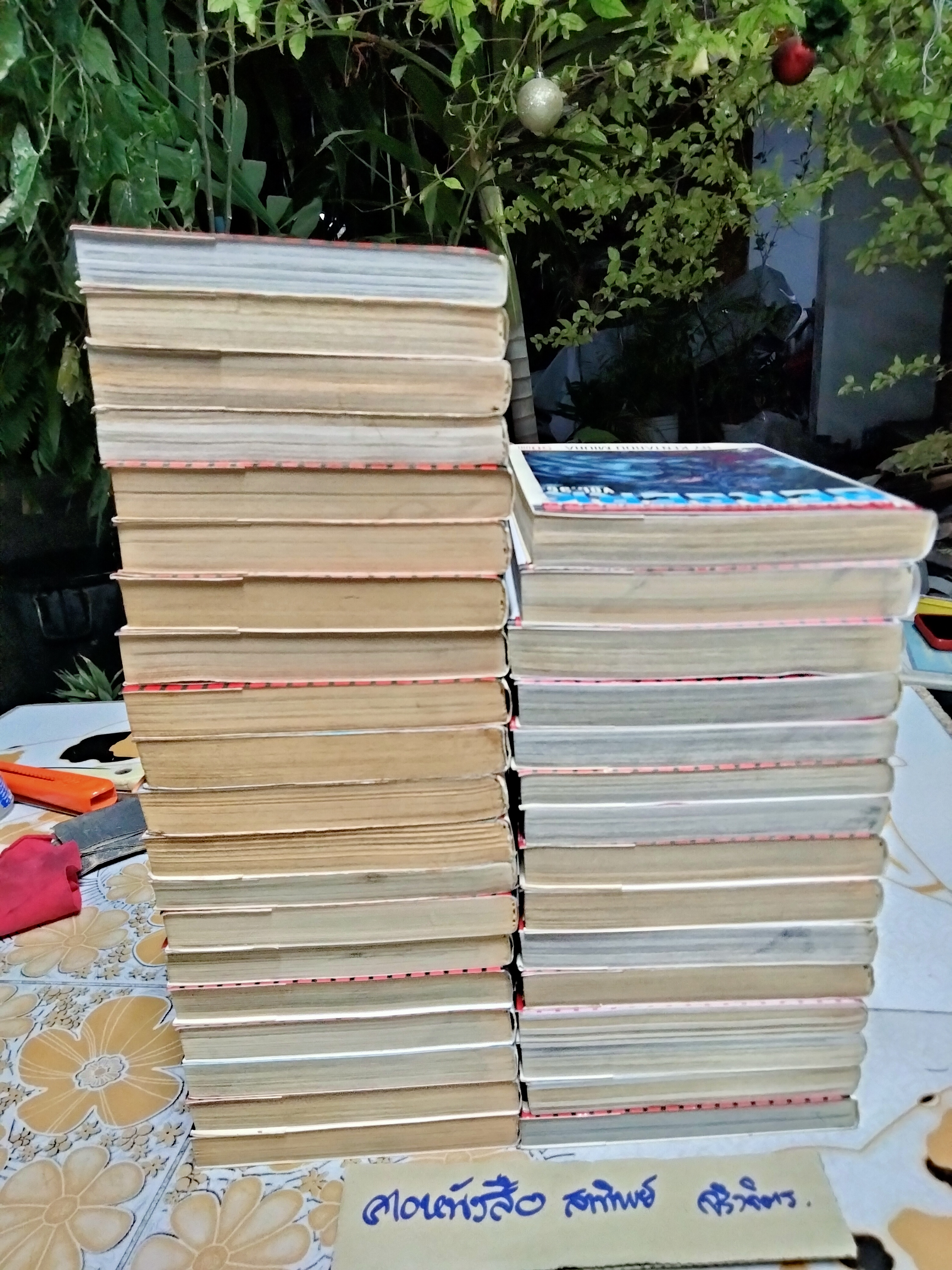 BERSERK เล่ม 1-35 สนพ.วิบูลย์กิจ บ้าน+เช่า (ปกไม่เรียงราคา) **สินค้าหมด*"