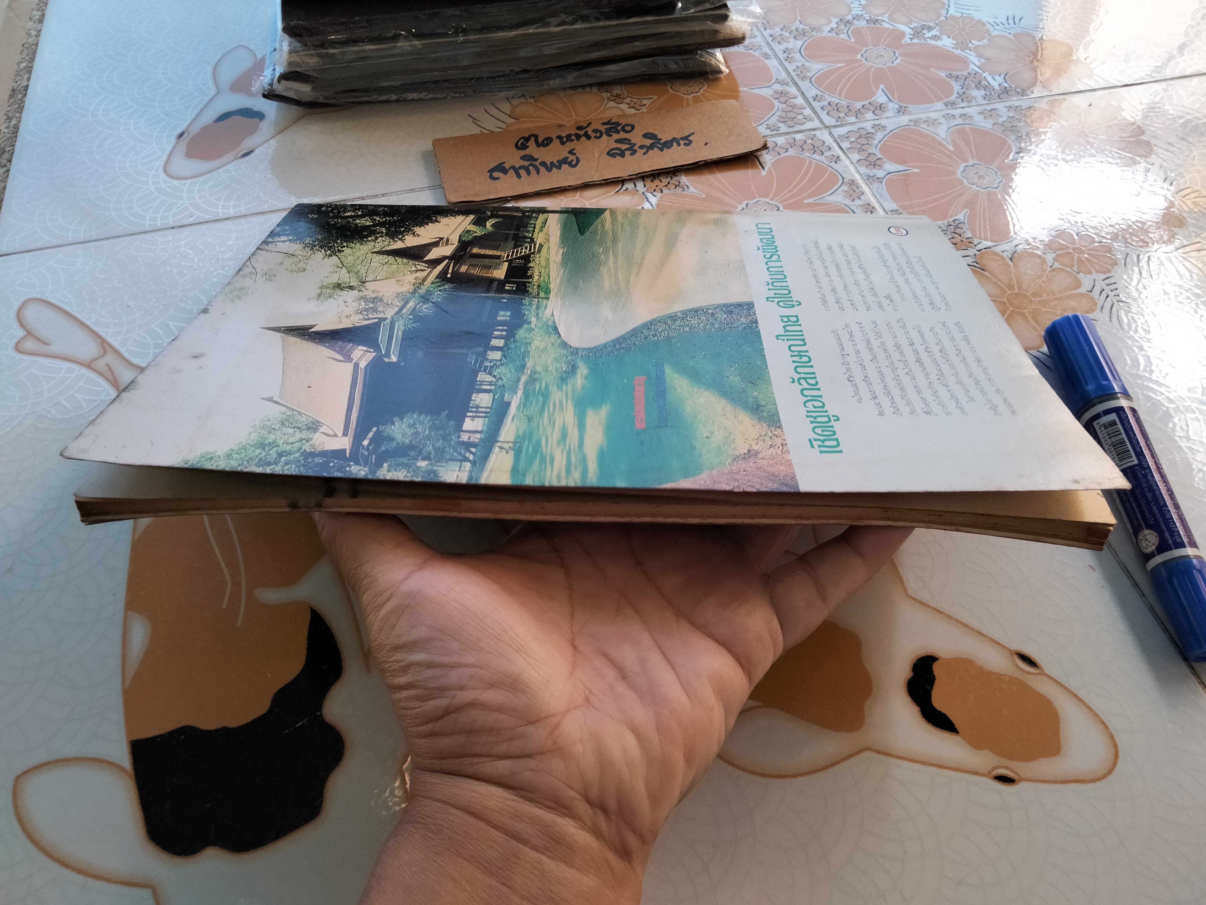 สมเด็จพระเจ้าตากสินมหาราชและบทบาทชาวจีนในสยาม โดย เสทื้อน ศุภโสภณ **สินค้าหมด**