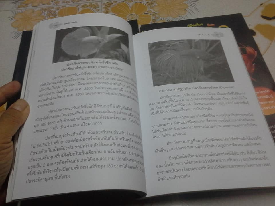 คู่มือเลี้ยงปลากัด ฉบับสมบูรณ์ **สินค้าหมด**