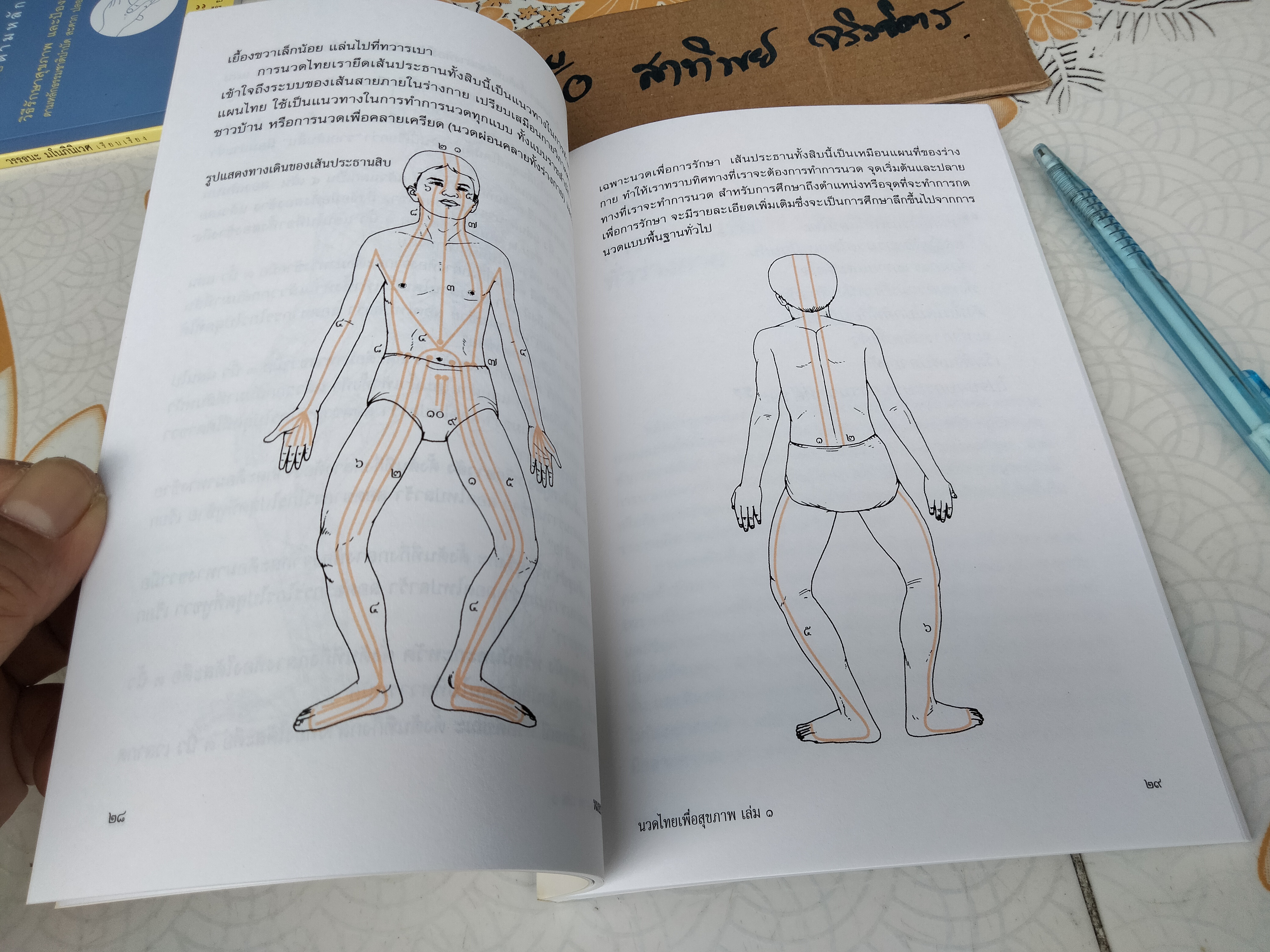 นวดไทยเพื่อสุขภาพเล่ม 1 - นวดเพื่อผ่อนคลายทั่วร่างกาย โดย อ.พิสิษฐ เบญจมงคลวารี