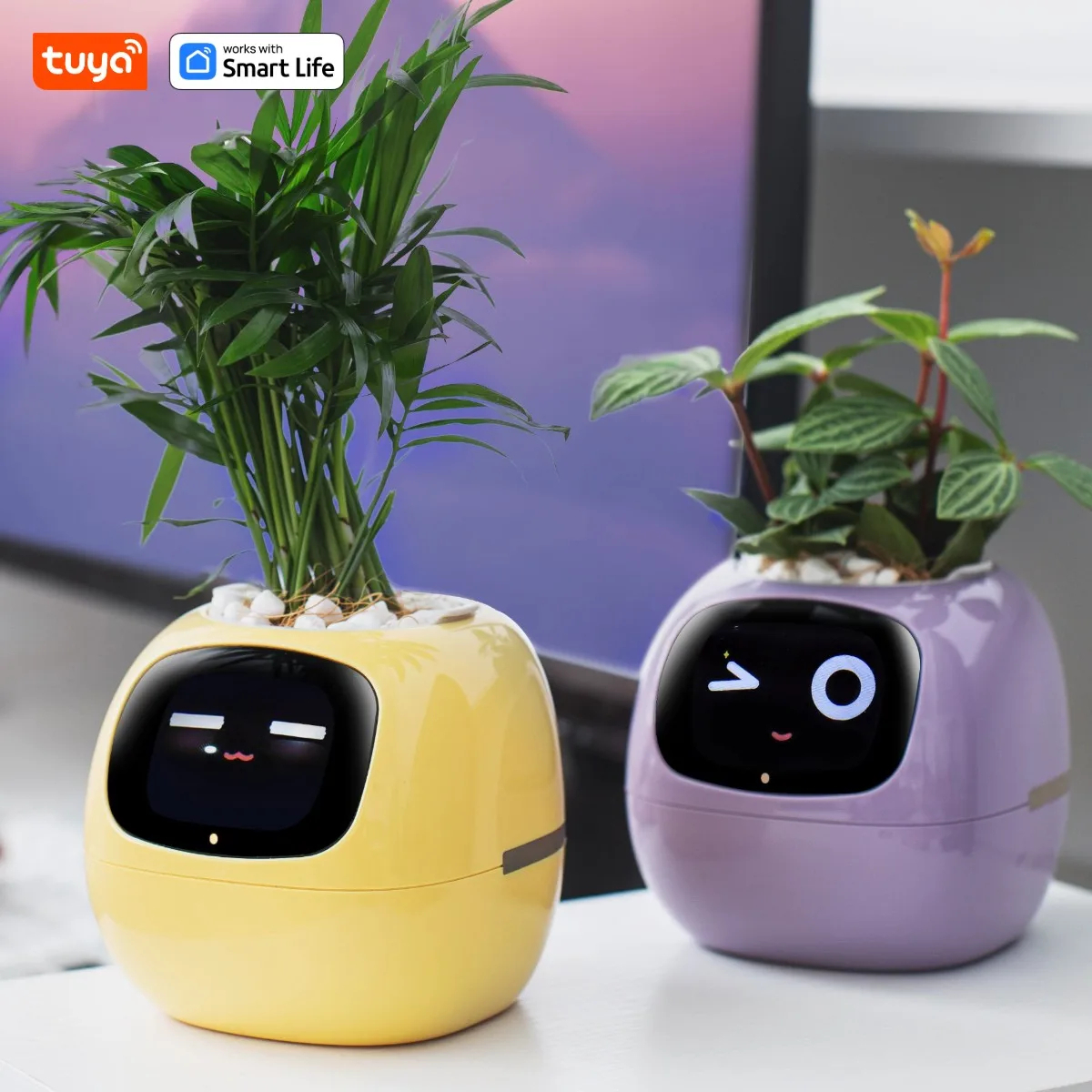 หุ่นยนต์พืชไอวี่ Smart planter Endless Ivy