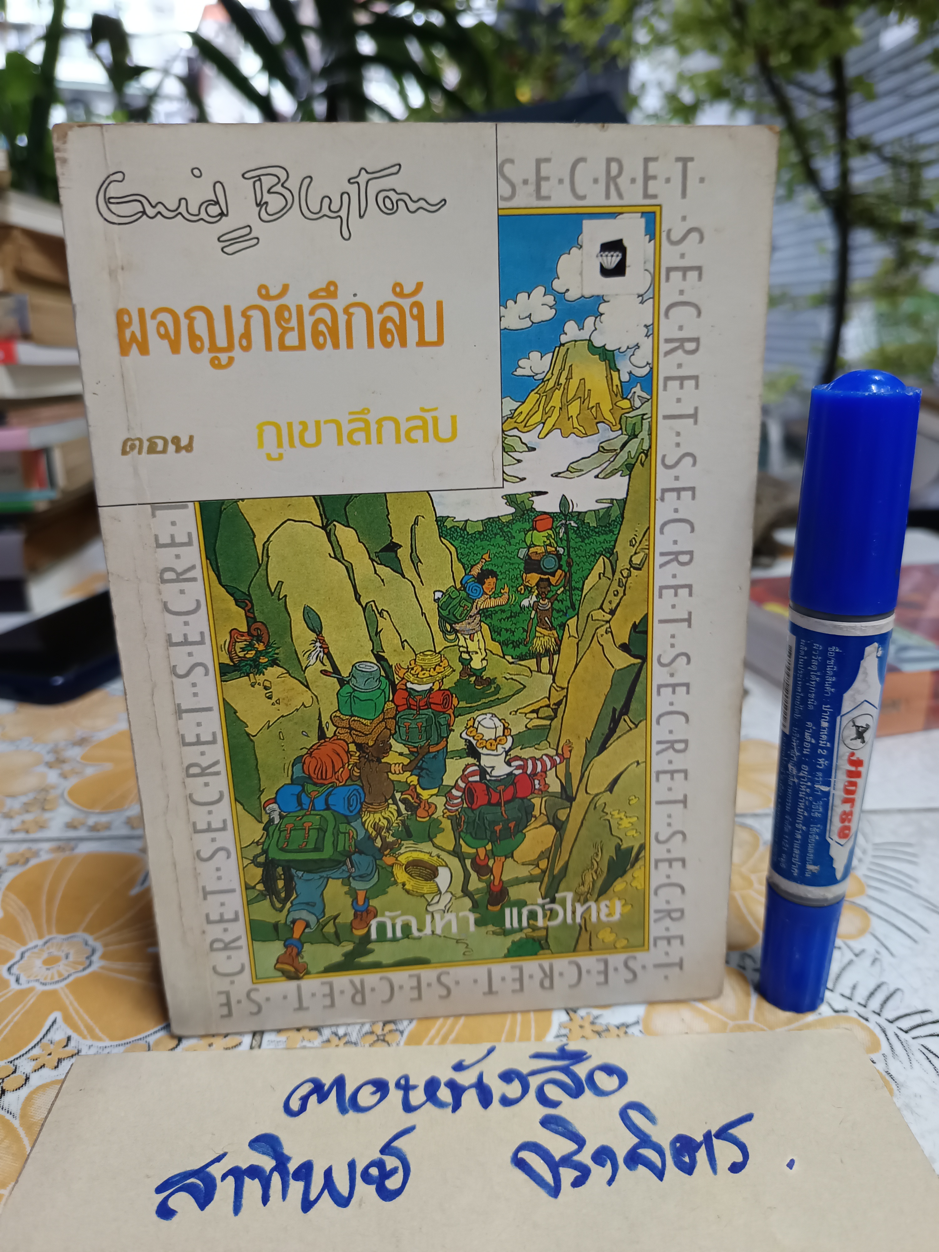 ภูเขาลึกลับ ( เล่ม 3 ของชุด) / ผจญภัยลึกลับ (จบในตอน) ผลงานของ เอนิด ไบลตัน Enid Blyton แปลโดย กัณหา แก้วไทย **สินค้าหมด**