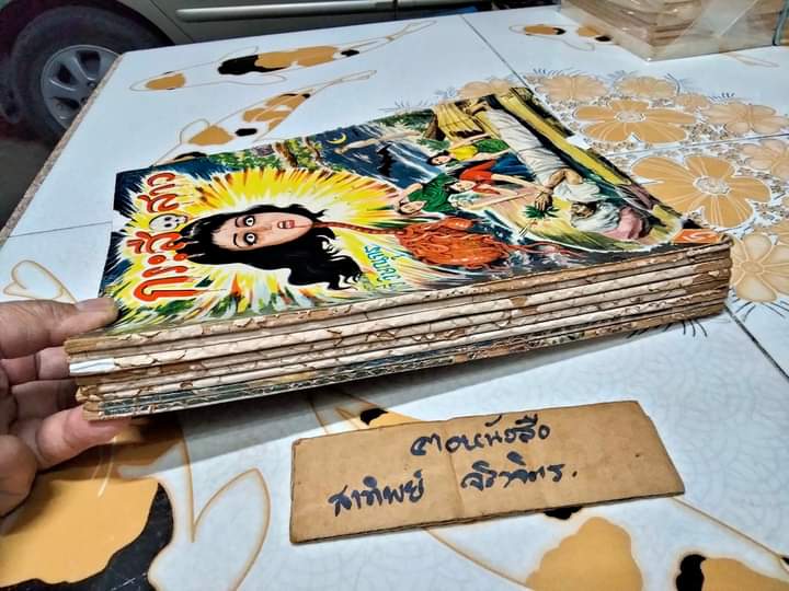 นิยายภาพ กระสือสาว เล่ม 1-8 (ยกชุด) (ชุดนี้มี 9 เล่มจบ) เรื่องและภาพโดย ทวี วิษณุกร **สินค้าหมด**