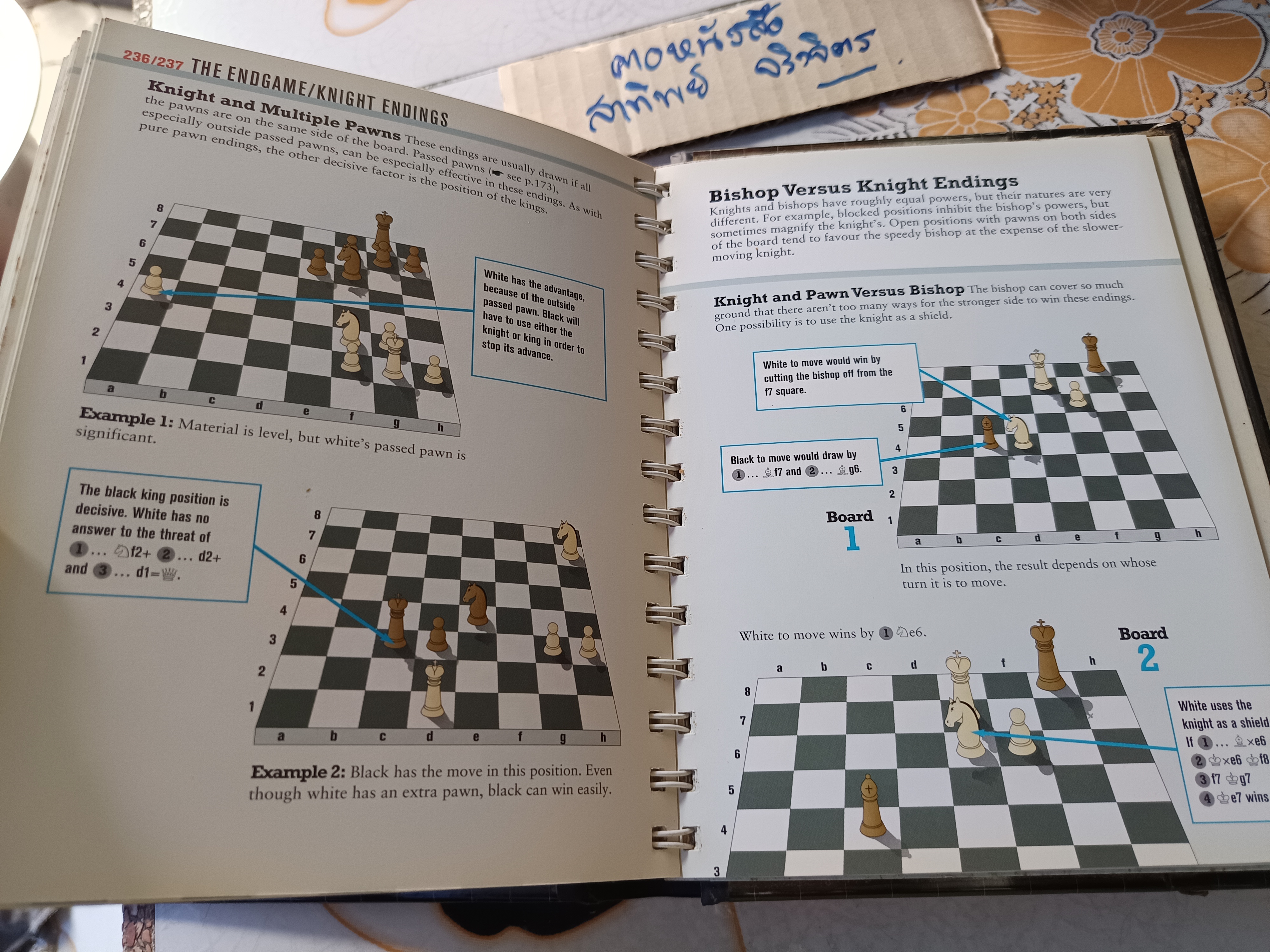 The Chess Player's Bible, Hardcover by James Eade (ฉบับภาษาอังกฤษ) A Quarto Book, 2004