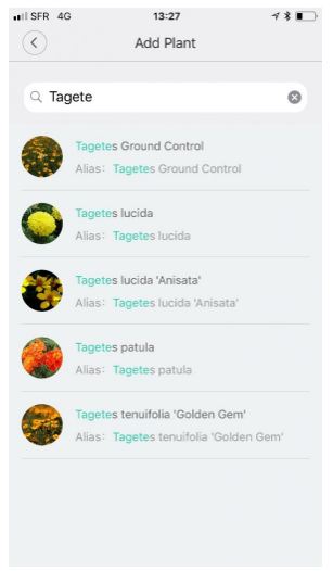 เซนเซอร์วัดค่าในดิน Xiao mi mi care plants Grass Flower Flora Digital Monitor