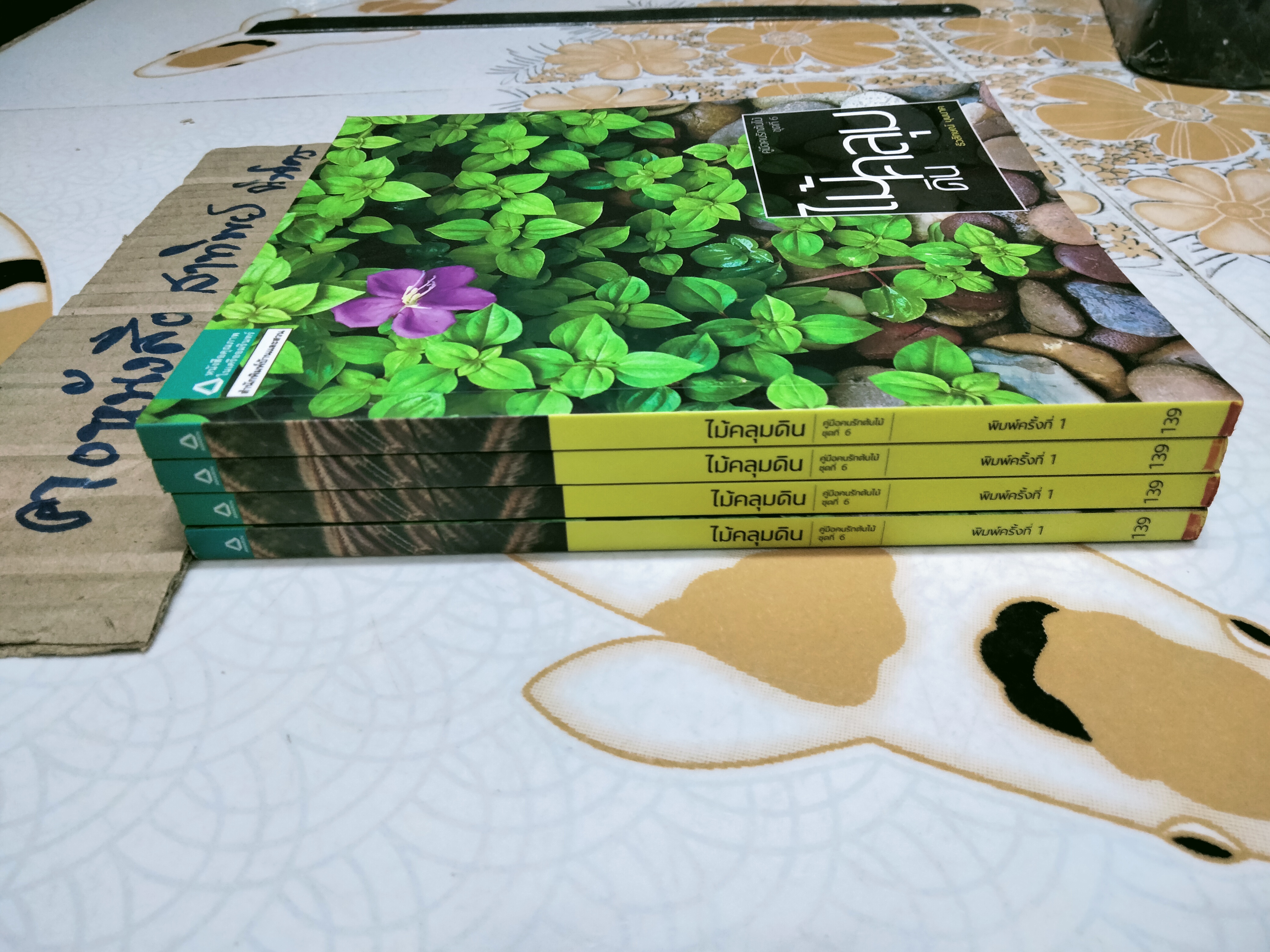 ไม้คลุมดิน - คู่มือคนรักต้นไม้ ชุดที่ 6 โดย ธิวลักษณ์ บุนนาค พิมพ์ครั้งที่ 1 สำนักพิมพ์บ้านและสวน **สินค้าหมด**