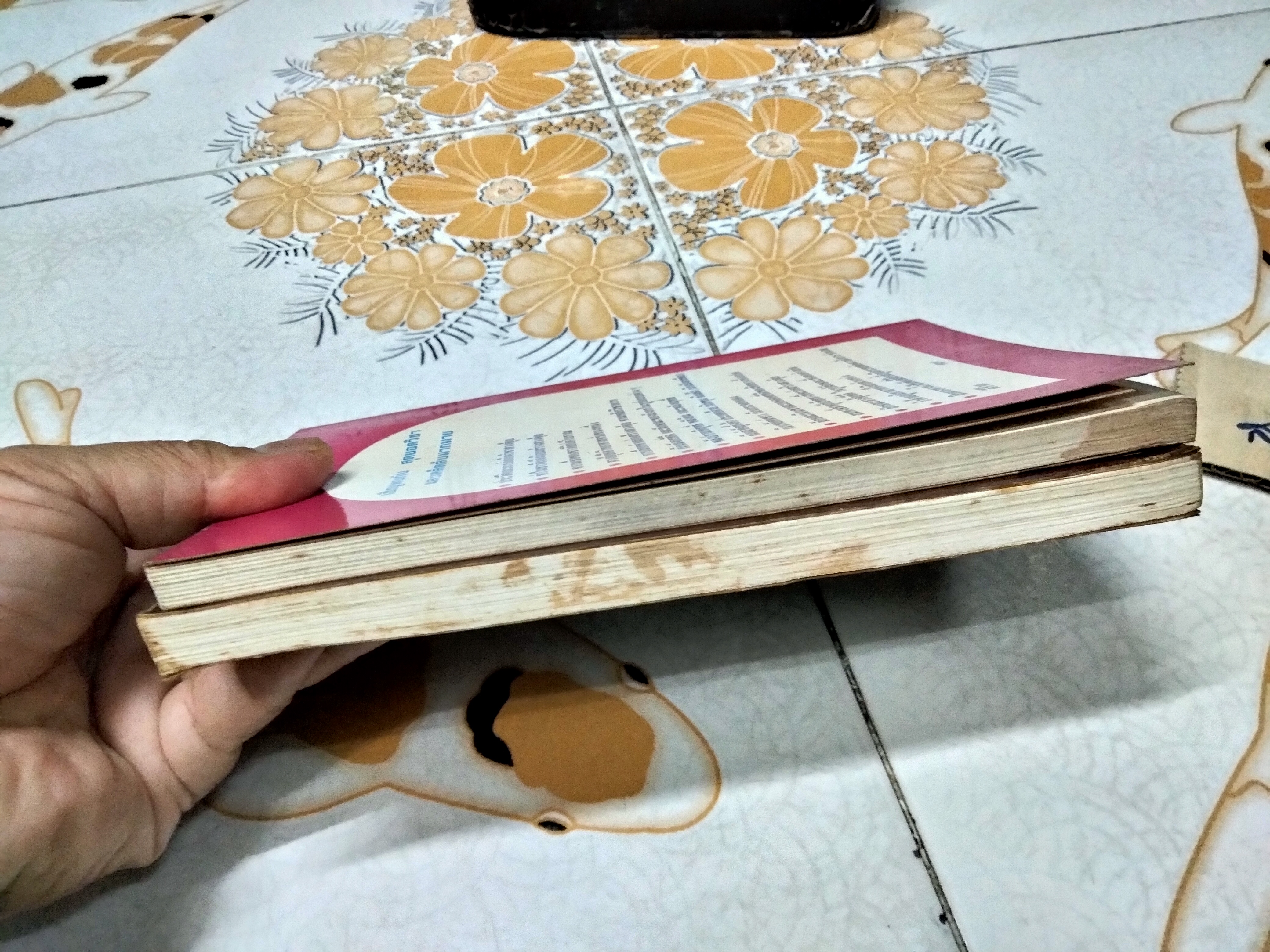 หนังสือวิชาภูมิพยากรณ์ ภาคภาษาไทย ฮวงจุ้ยภาควิชาการ มีแค่เล่ม 2-3 โดย อ.สินศักดิ์ วิศิษฐ์สกุล **สินค้าหมด**