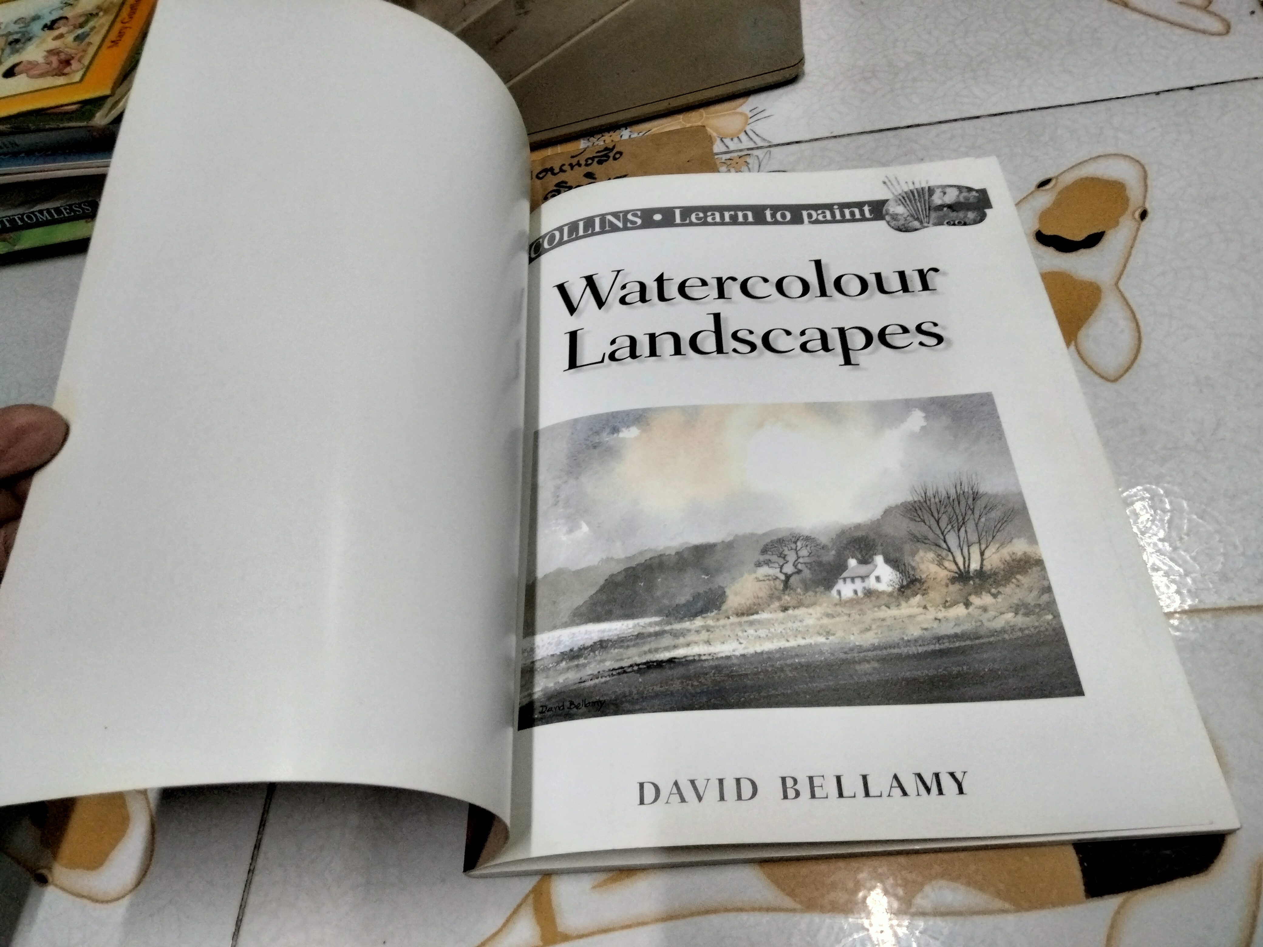 Watercolour Landscapes by David Bellamy Collins - Learn to Paint
