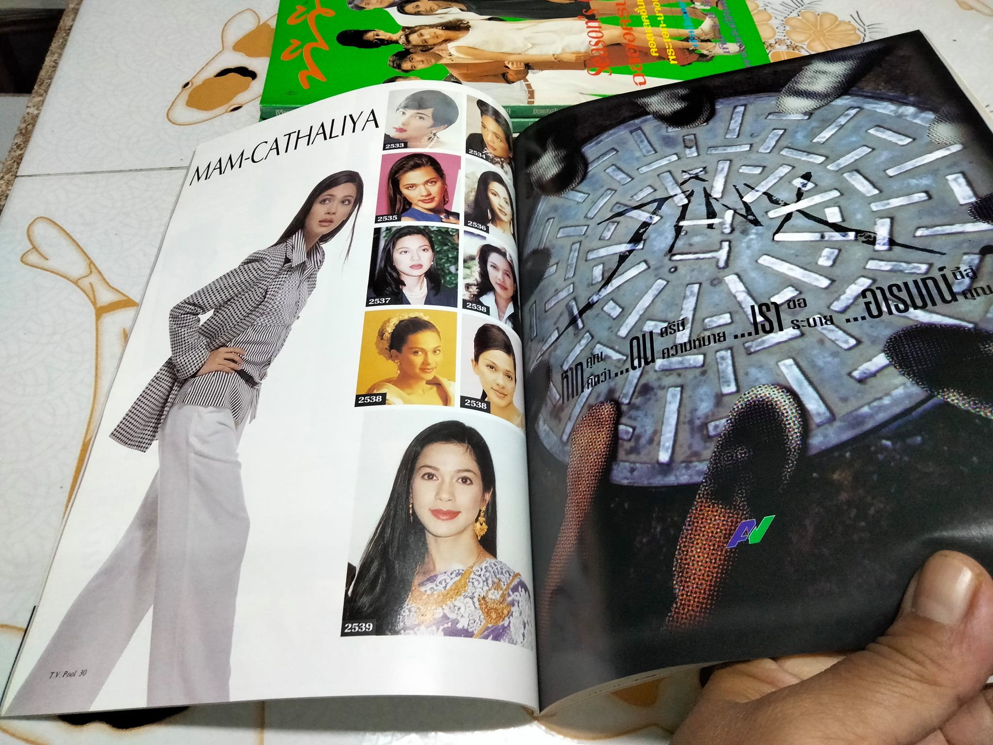 นิตยสารทีวีพูล ฉบับฉลองครบรอบ 6 ปี ฉบับที่ 316 (14-20 มิถุนายน 2539)