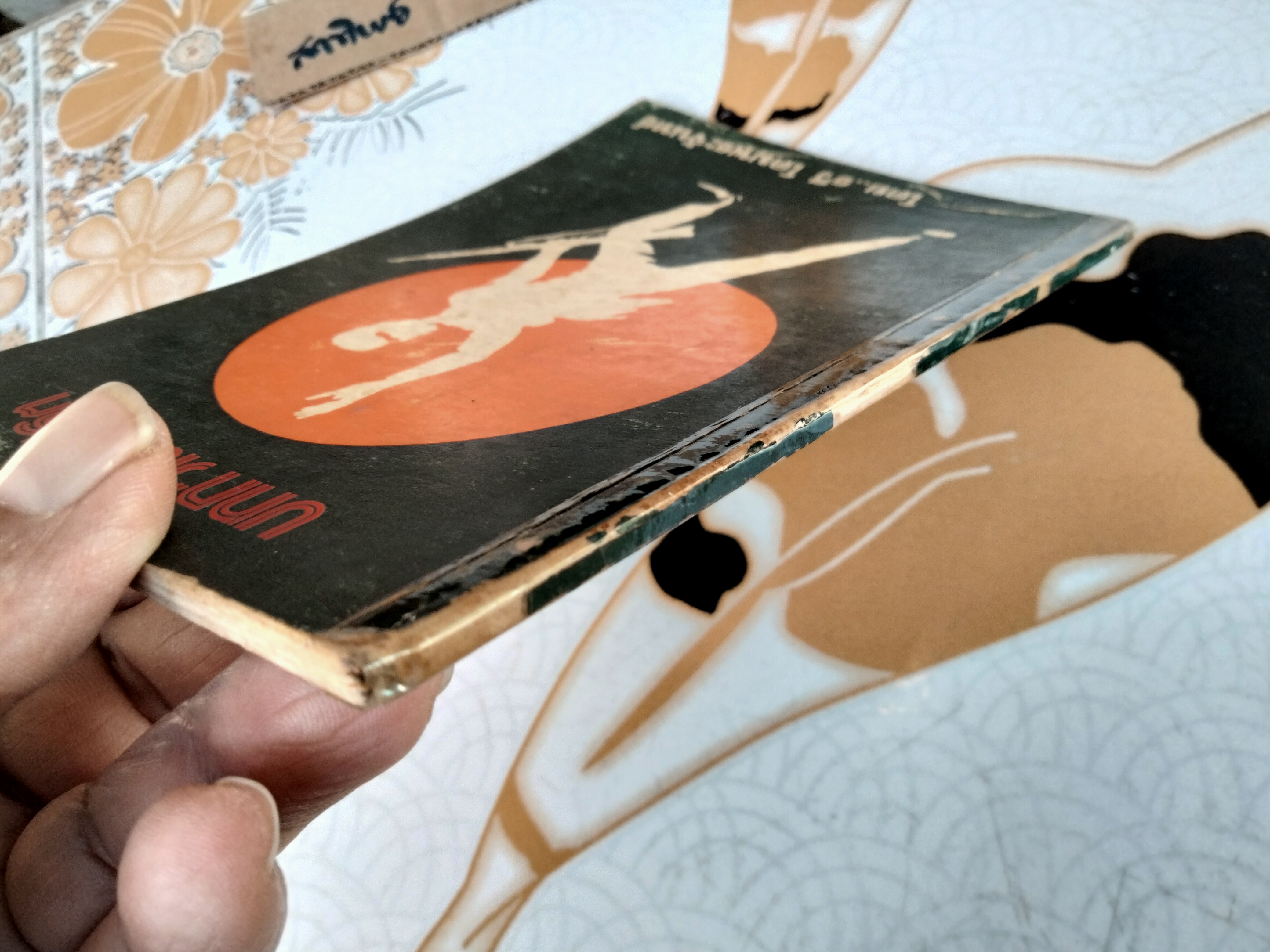 บทกวีเพื่อชีวิต : รวี โดมพระจันทร์ **สินค้าหมด**