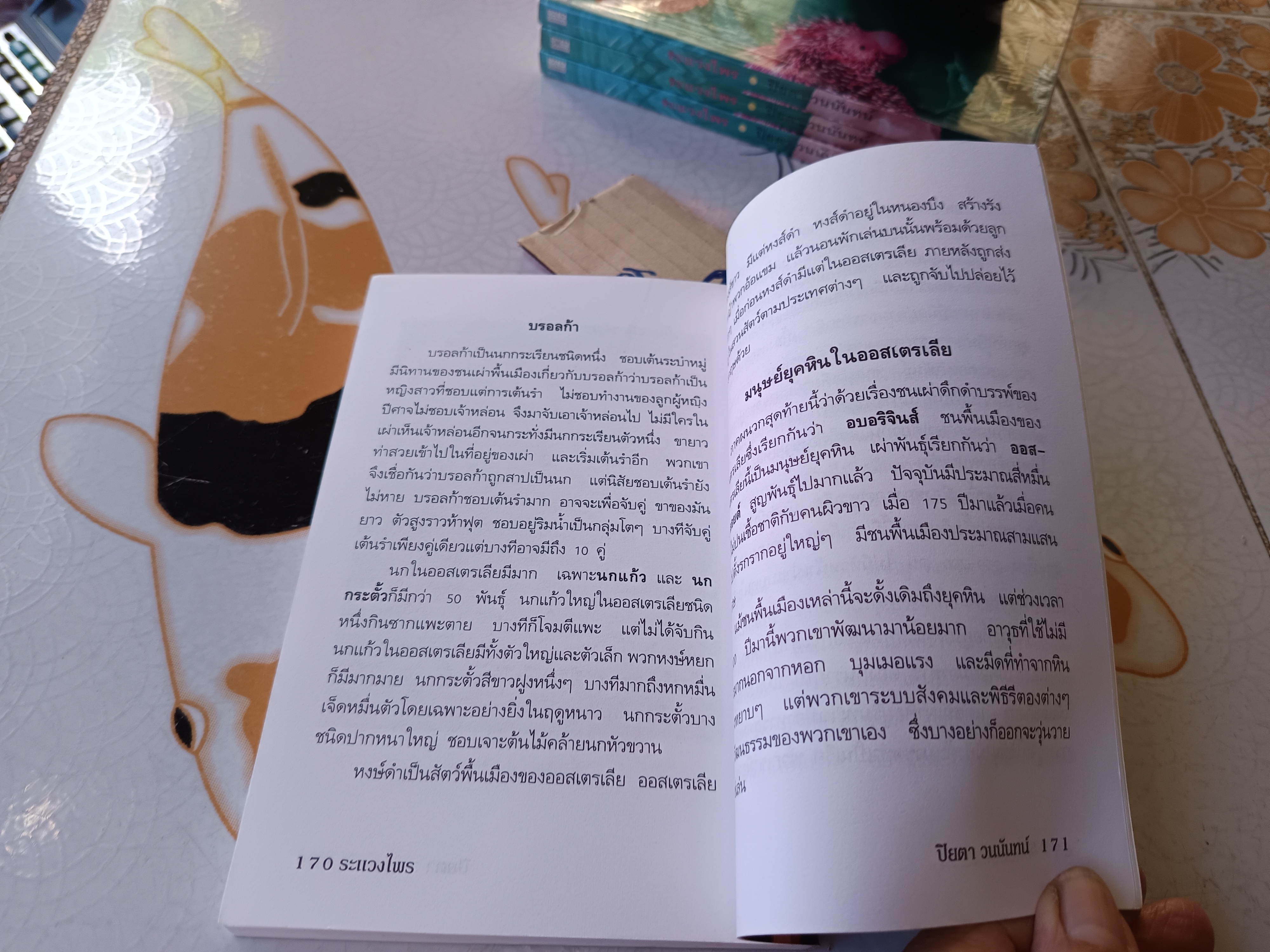 ระแวงไพร (Walkabout) James Vance Marshall เขียน ปิยตา วนนันทน์ แปล - พิมพ์ครั้งที่ 1/2540 สนพ. ต้นอ้อ