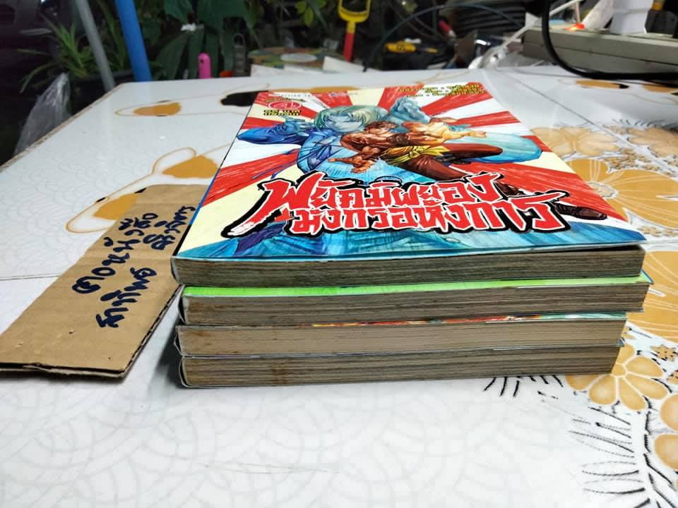 พยัคฆ์ผยองมังกรอหังการ (4 เล่มจบ)