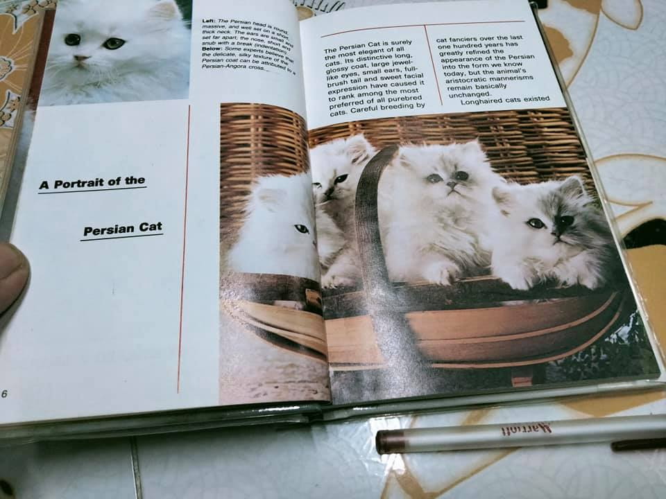 หนังสือ PERSIAN CATS BY EDWARD E.ESARDE **สินค้าหมด**