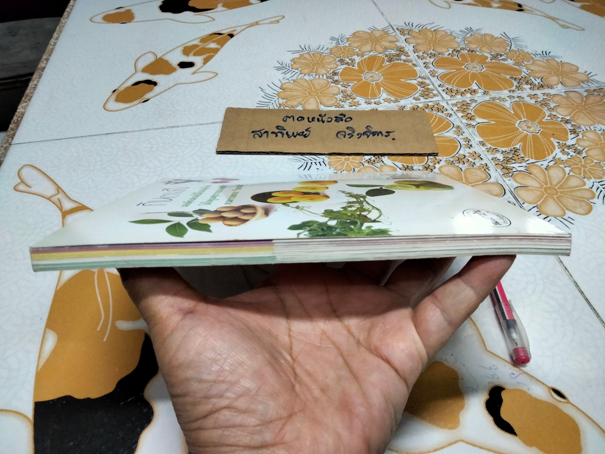 กินตามสี - รศ.ดร. กรณ์กาญจน์ ภมรประวัติ **สินค้าหมด**