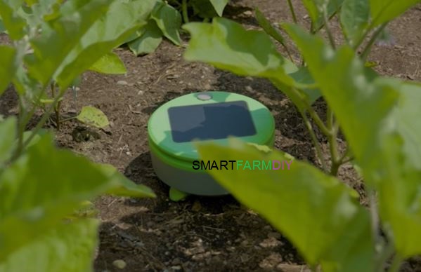 หุ่นยนต์กำจัดวัชพืช Weeds Robot Tertill Garden