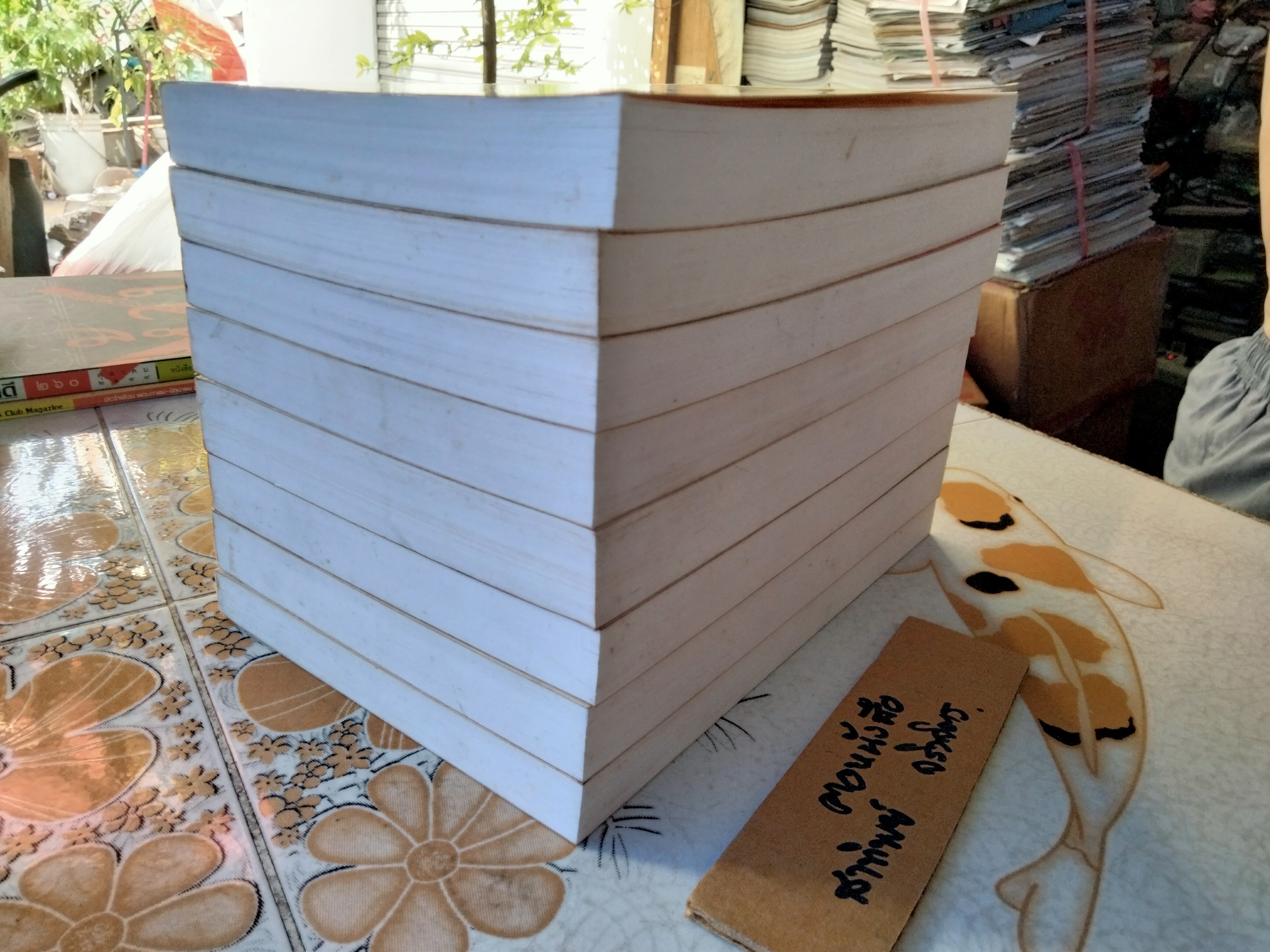 ภาษาของเรา - จำนงค์ ทองประเสริฐ ขาดเล่ม 2,9 ( ครบชุดคือ 10 เล่ม) พิมพ์ครั้งที่ 2/2539 **สินค้าหมด*"