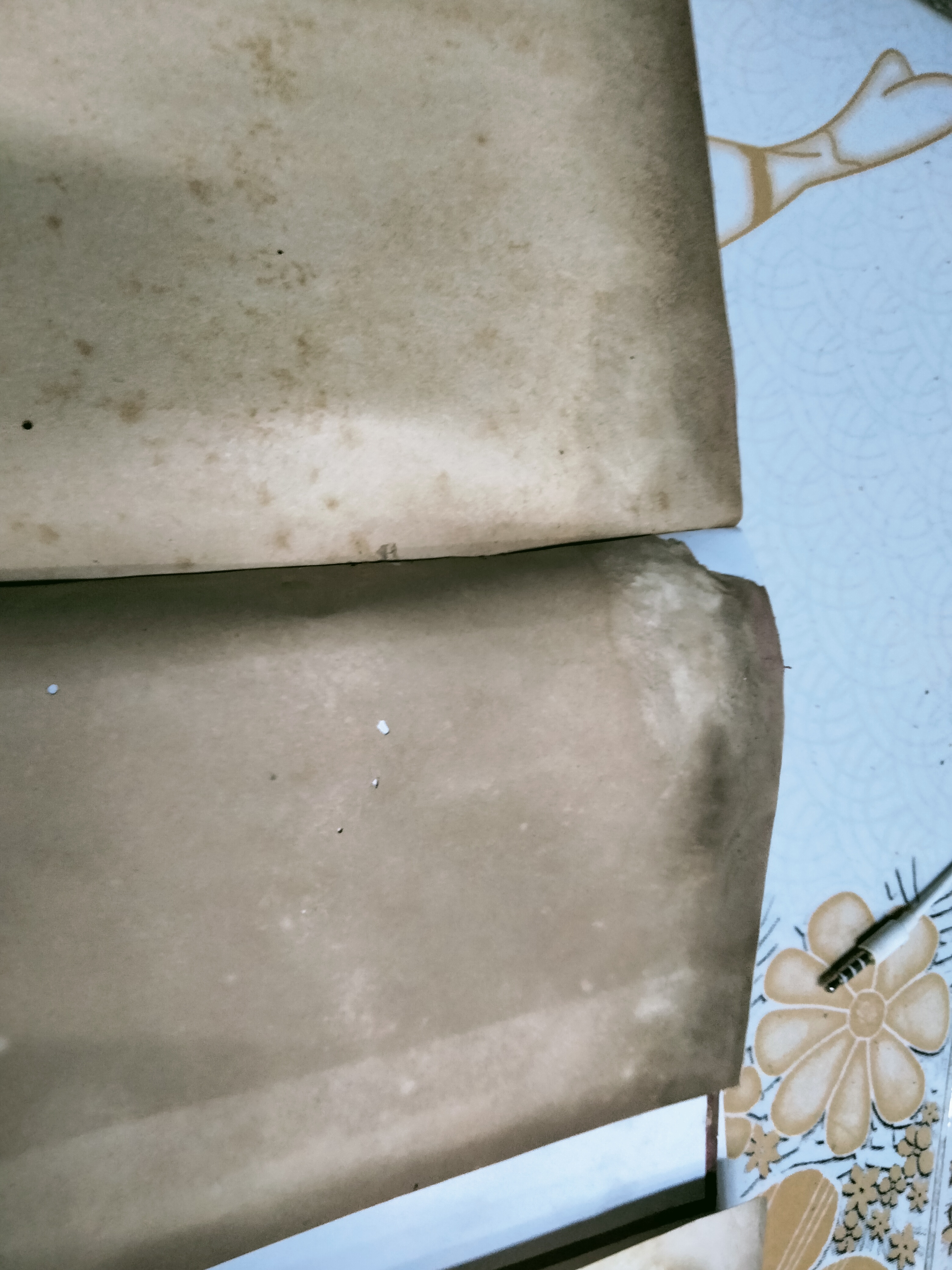 โลลิตา โดย นายตำรา ณ เมืองใต้ ถอดความจากนวนิยายเชิงจิตวิทยา เรื่อง "LOLITA" ของ Vladimir Nabokov **สินค้าหมด**