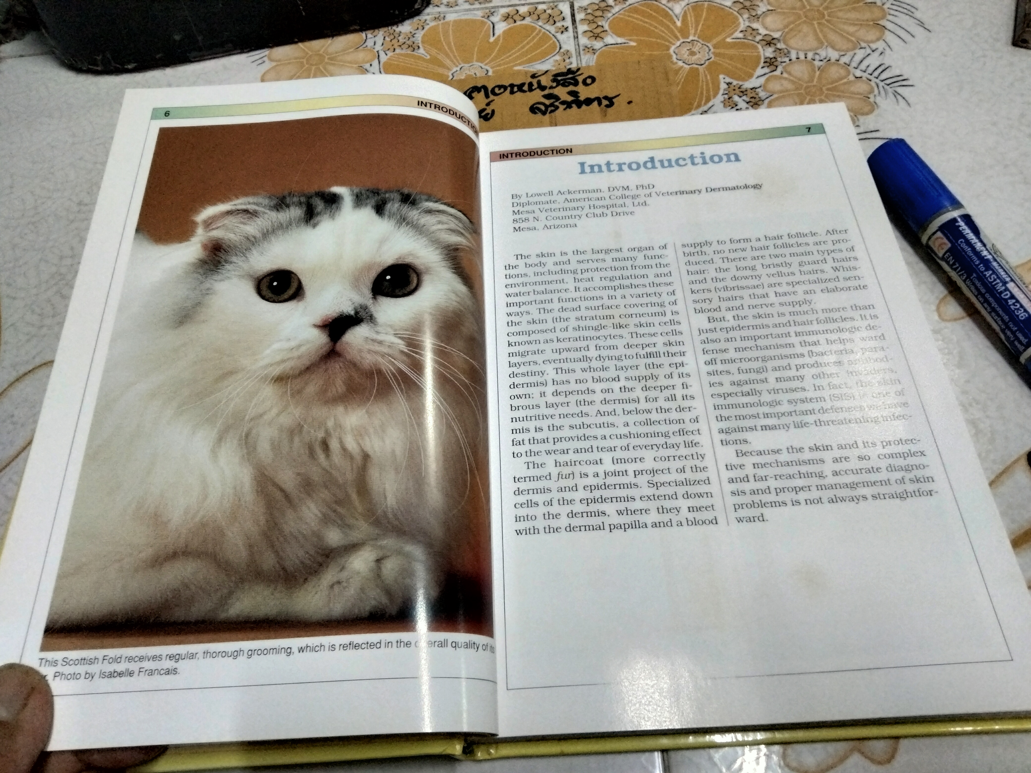 Skin & Coat Care for Your Cat Compiled by Lowell Ackerman