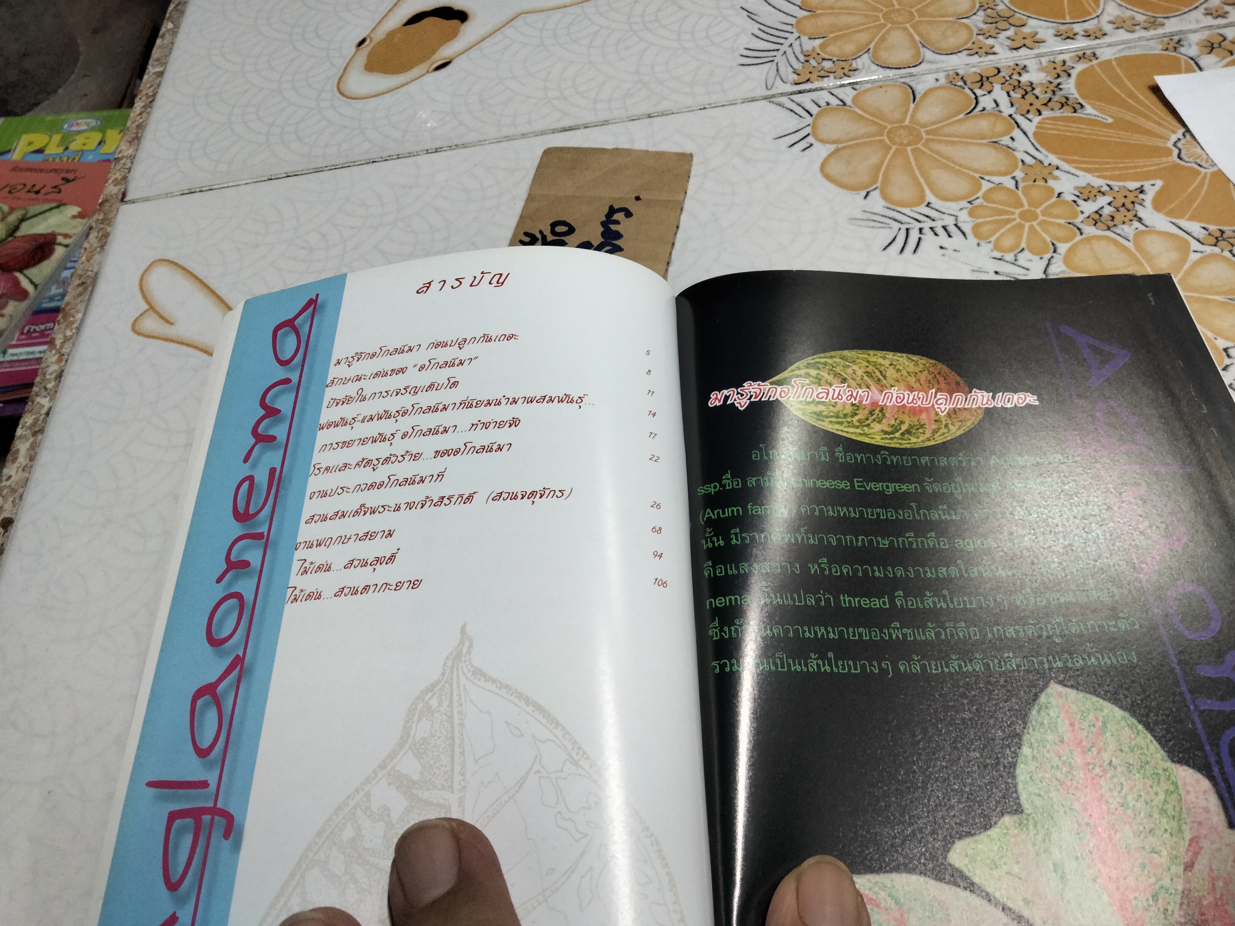 อโกลนีมา - ร้อยพรรณพฤกษา โดย อ.เศรษฐมันตร์ กาญจนกุล **สินค้าหมด**