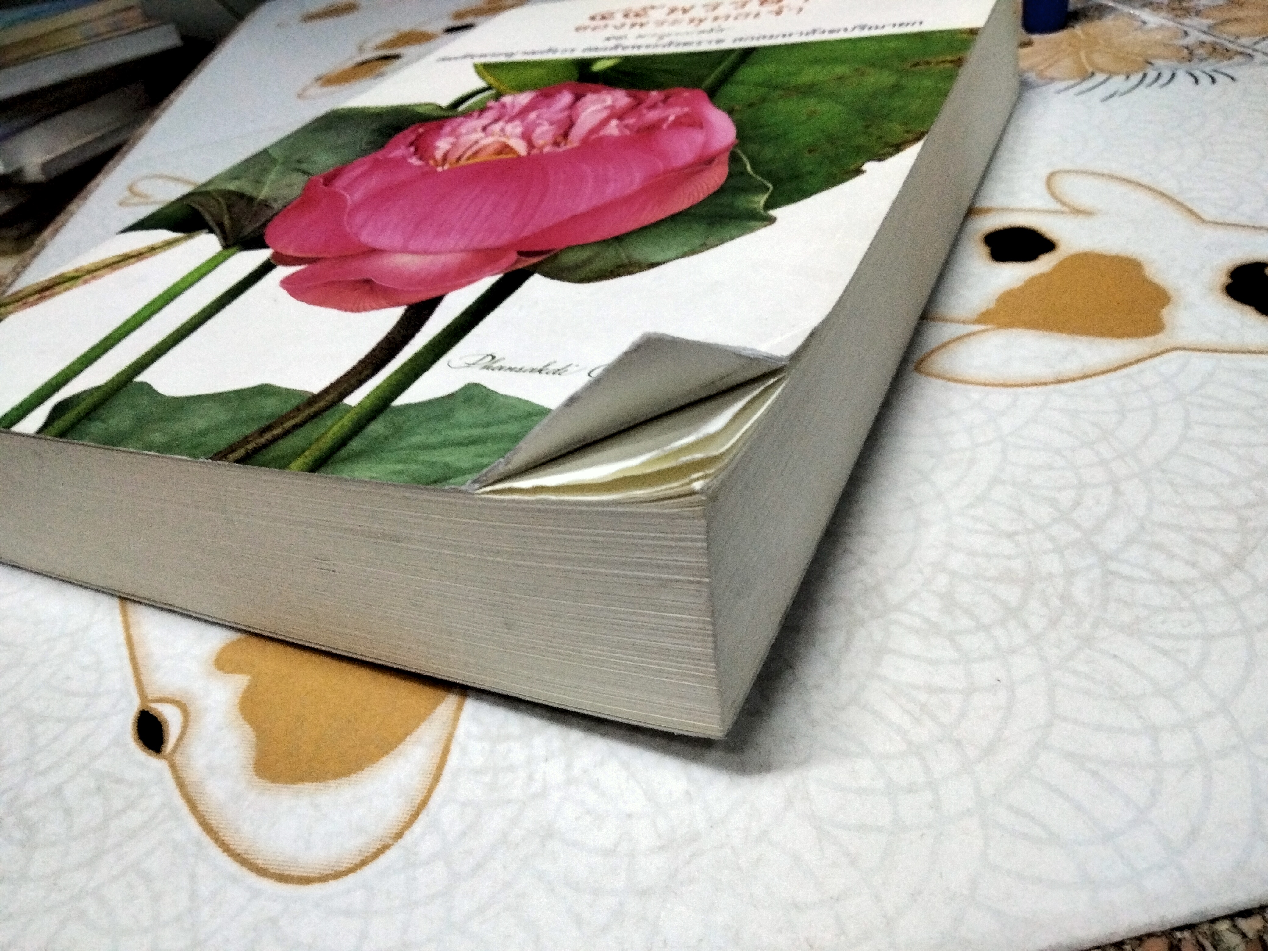 45 พรรษาของพระพุทธเจ้า พระนิพนธ์ สมเด็จพระญาณสังวร สมเด็จพระสังฆราช สกลมหาสังฆปรินายก (เจริญ สุวฑฒโน) วัดบวรนิเวศวิหาร พิมพ์ปี 2560 **สินค้าหมด**