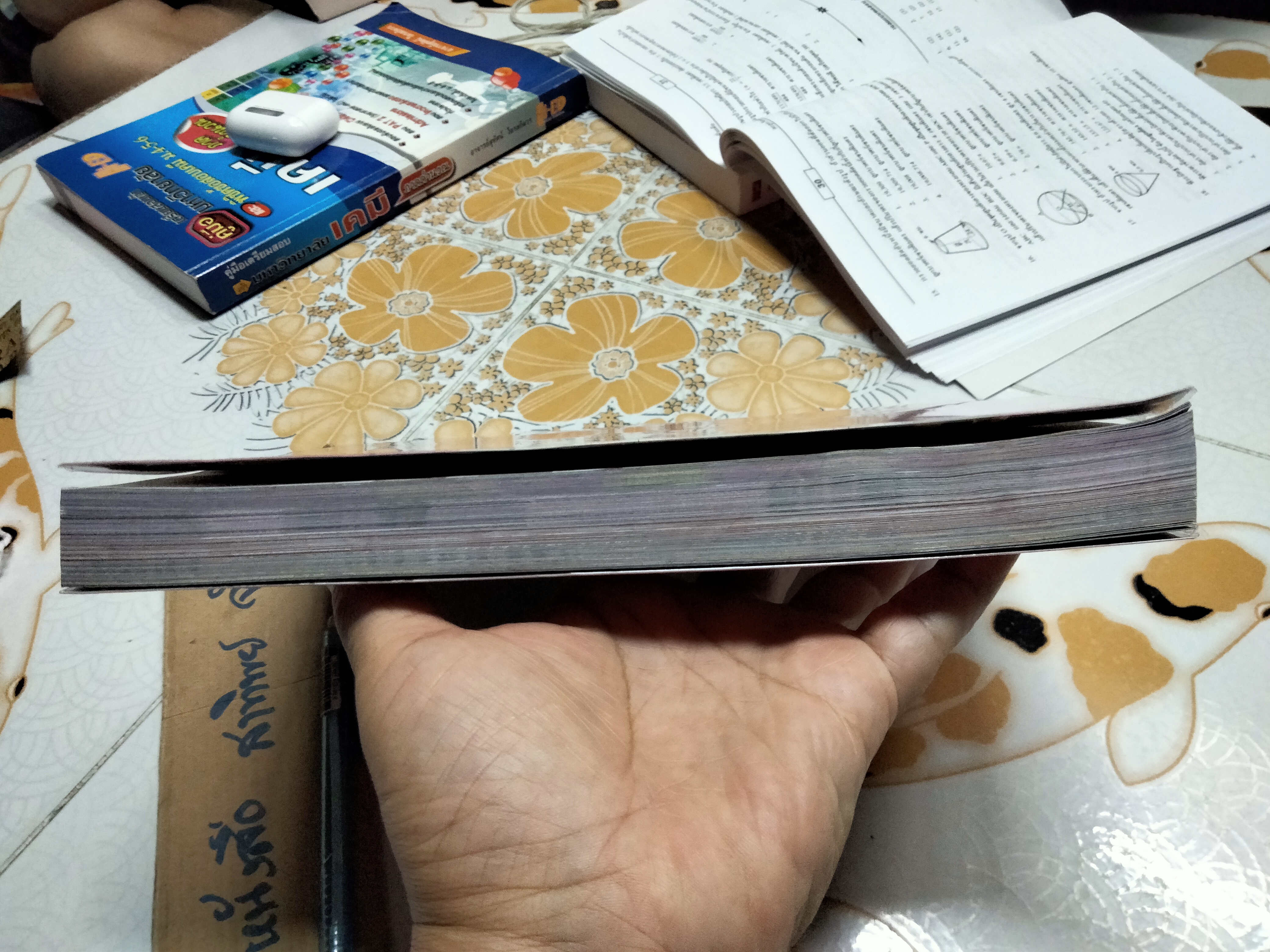 I Love Break fast พลอย จริยะเวช