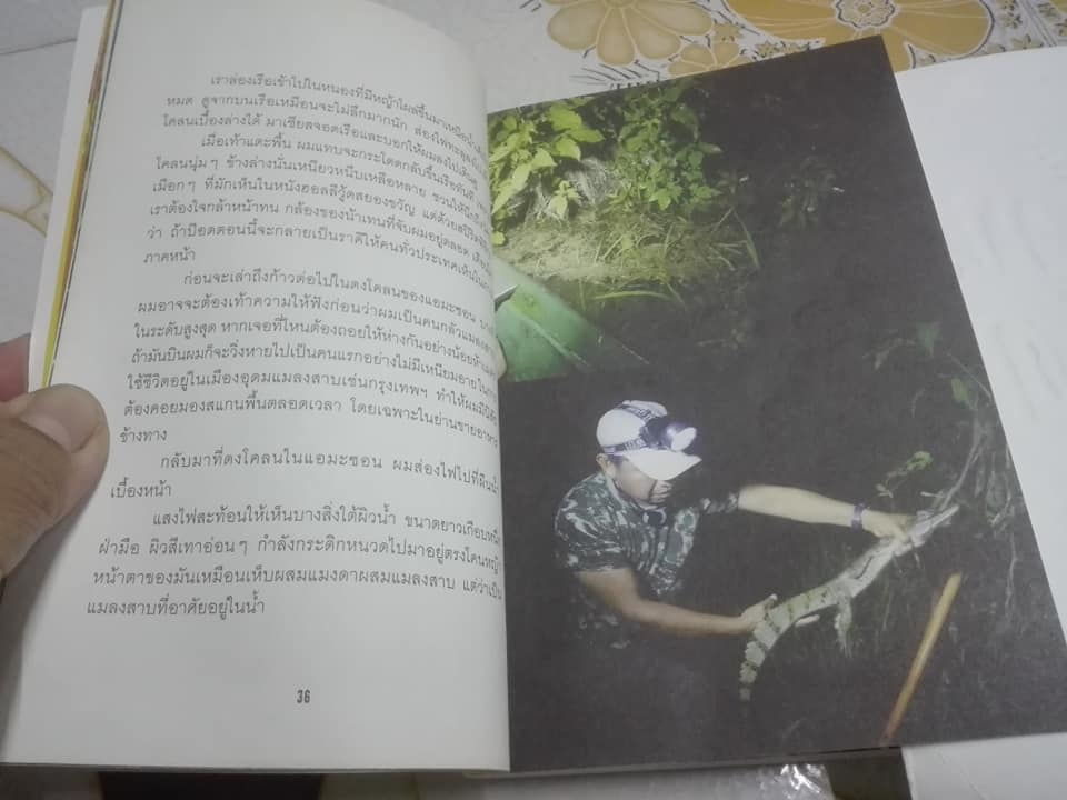 เถื่อนเจ็ด + เถื่อนแปด โดย วรรณสิงห์ ประเสริฐกุล **สินค้าหมด**