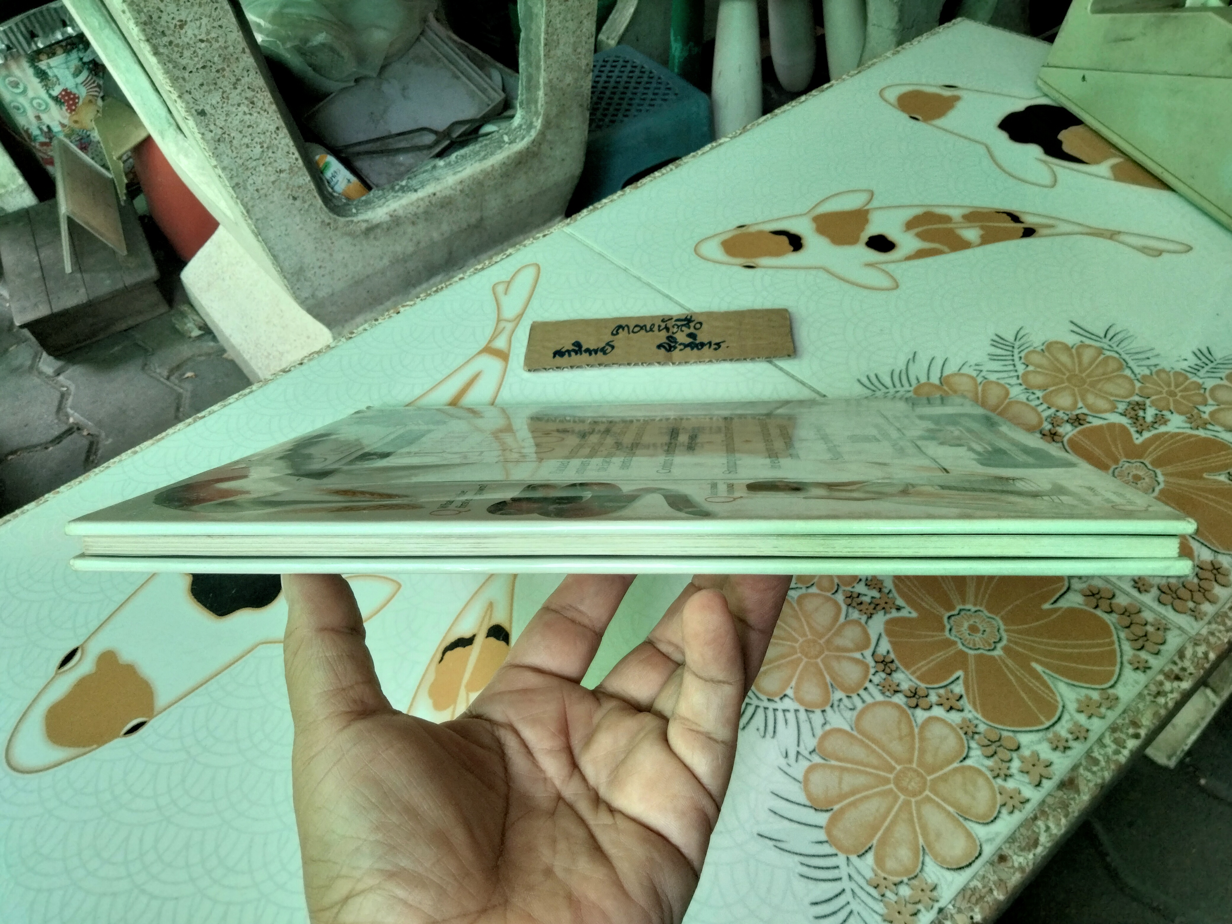 Question & Answer Book หนังสือความรู้ยอดนิยม Eyewitness