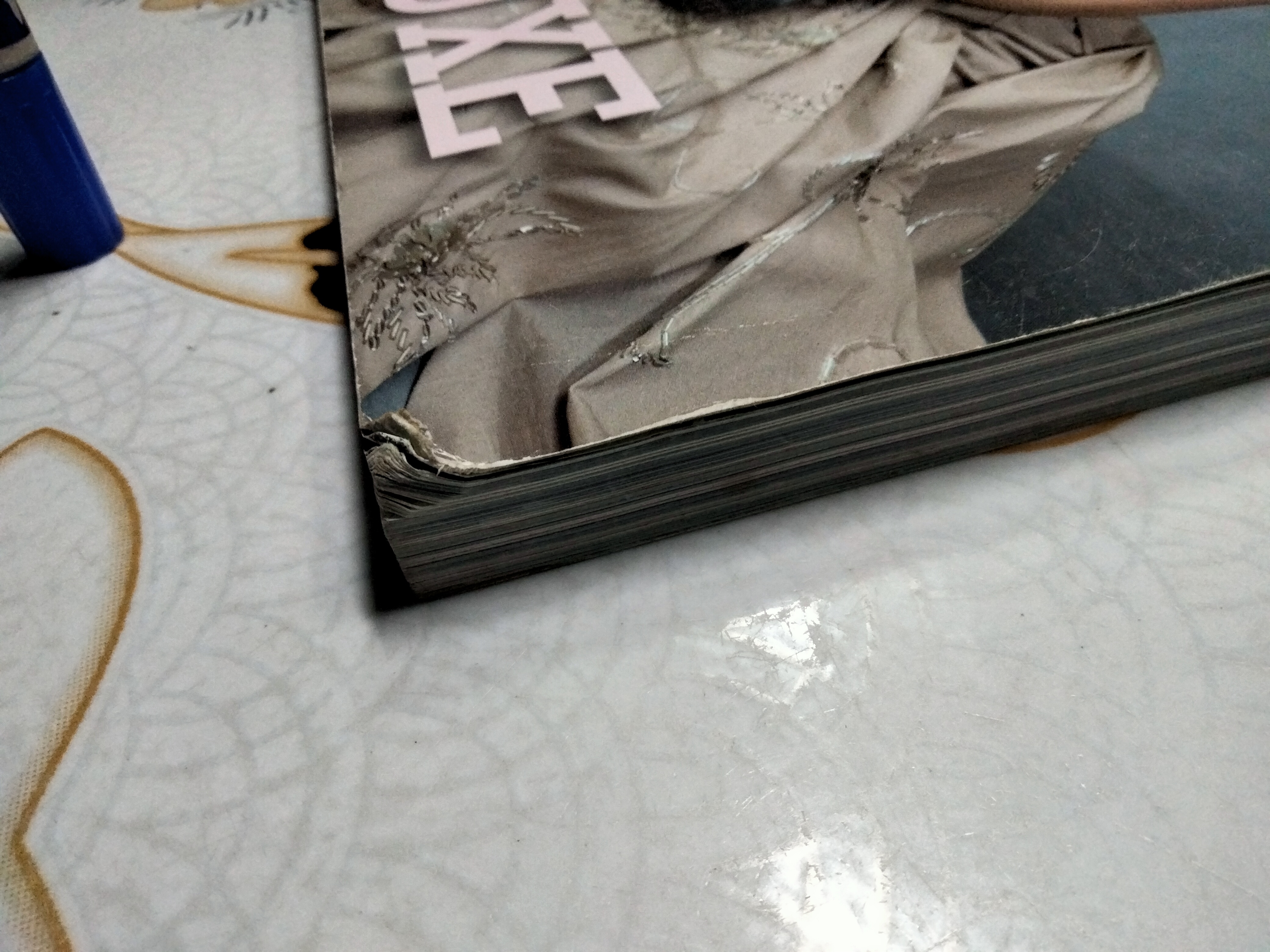 นิตยสาร LIPS LUXE ปก หม่อมศรีรัศมิ์ - พระองค์เจ้าทีปังกรรัศมีโชติ **สินค้าหมด**